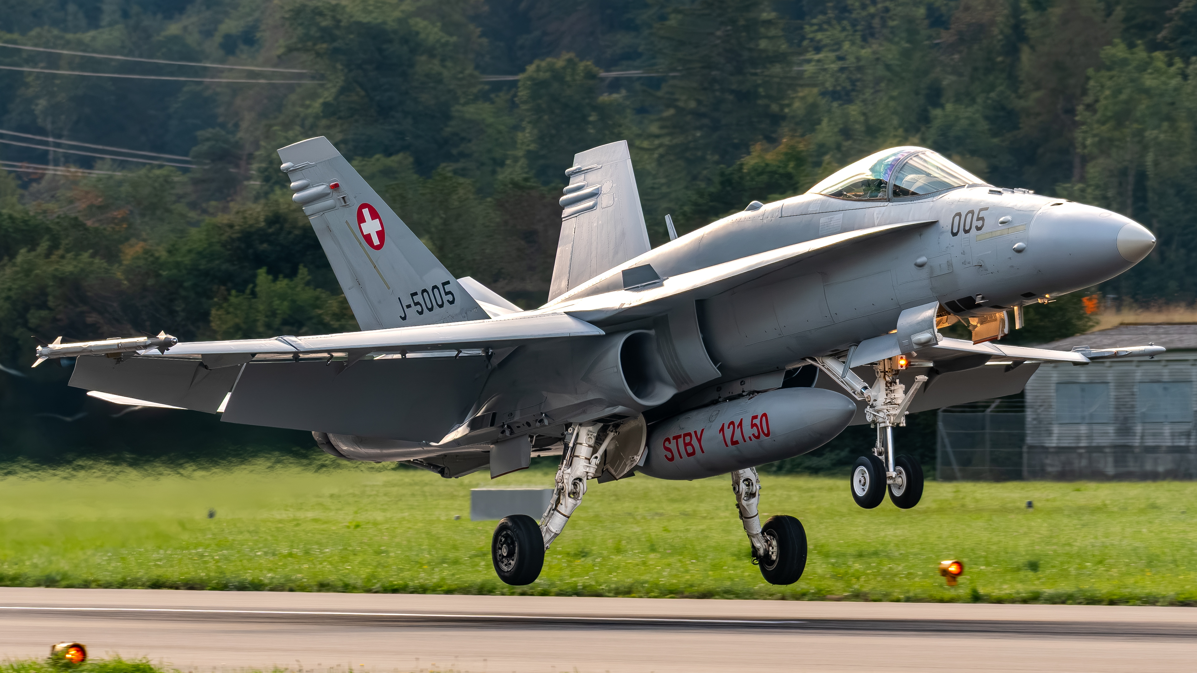 Swiss Air Force - F/A-18C Hornet - J-5005 (VIPER32)