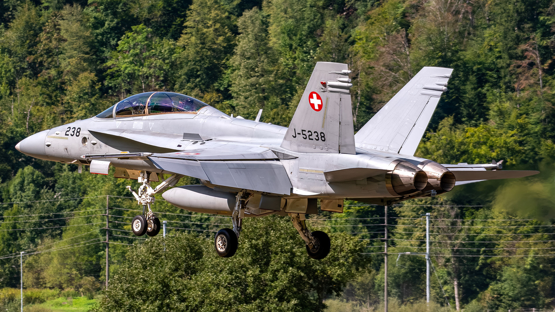 Swiss Air Force - F/A-18D Hornet - J-5238 (COPPER42)