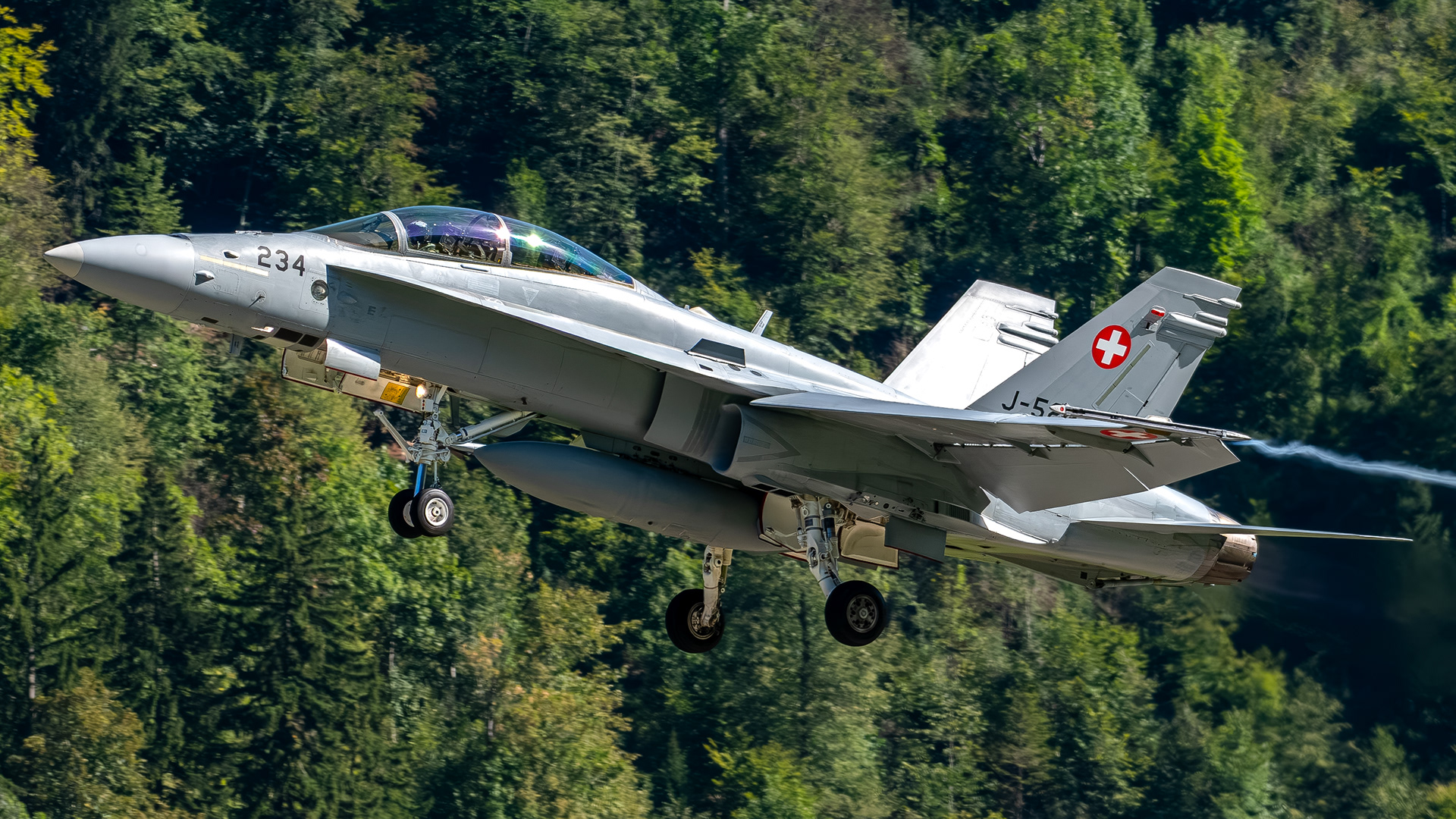 Swiss Air Force - F/A-18D Hornet - J-5234 (RAGE21)