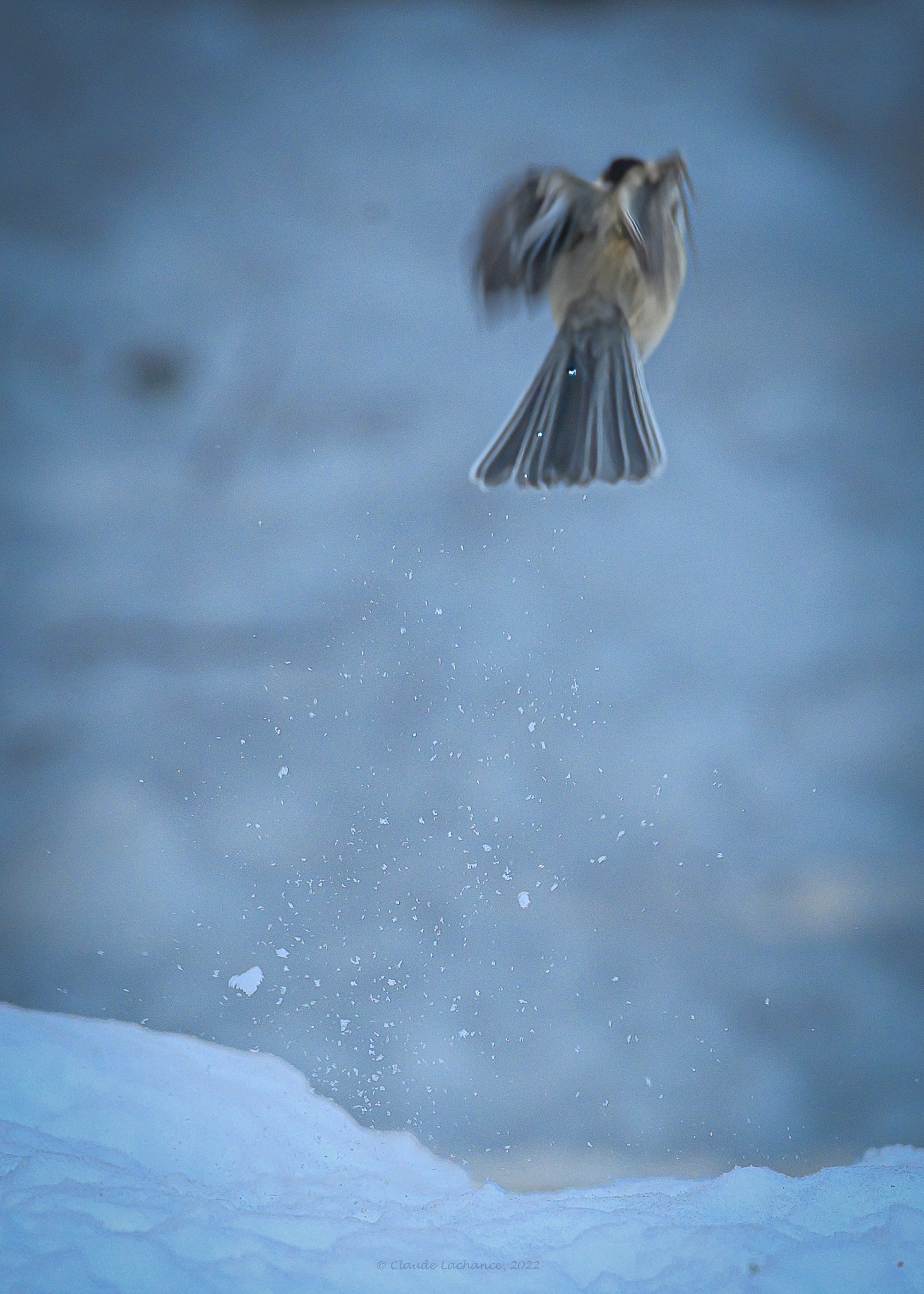 Lift-Off