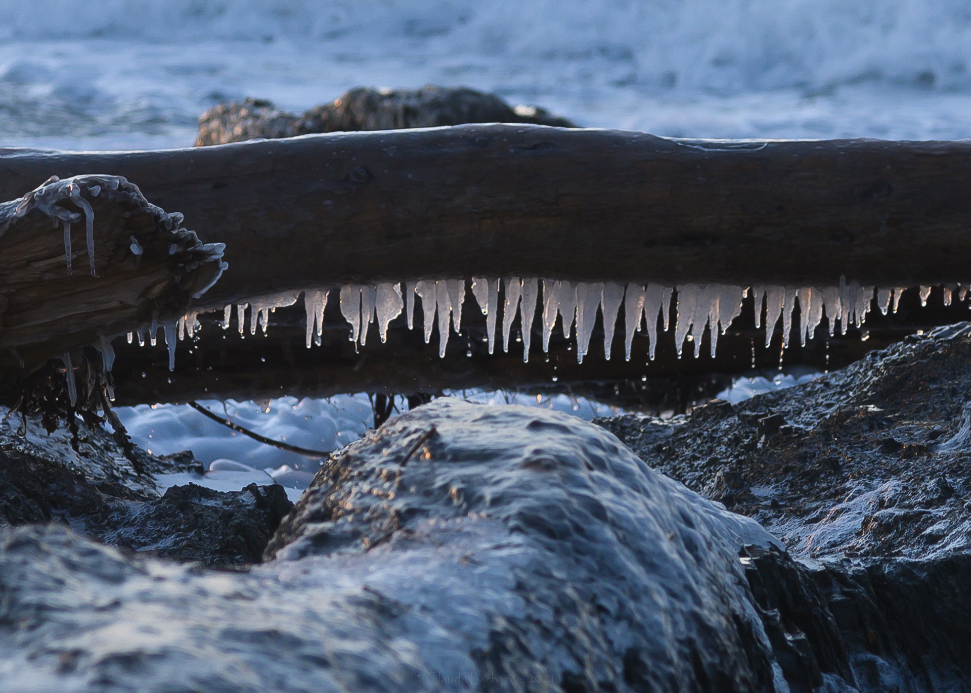 Jaws