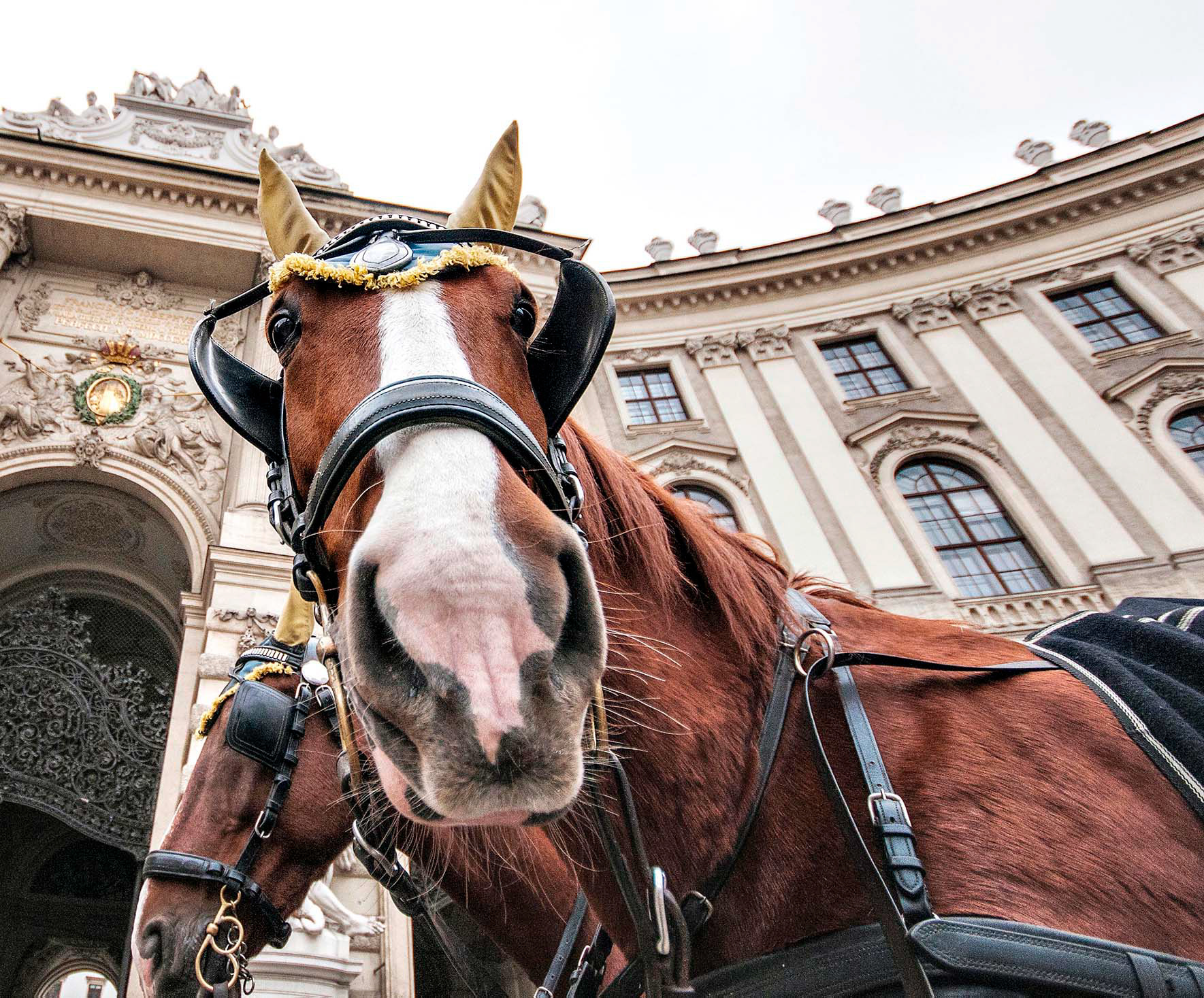 Michaelerplatz, 1010
