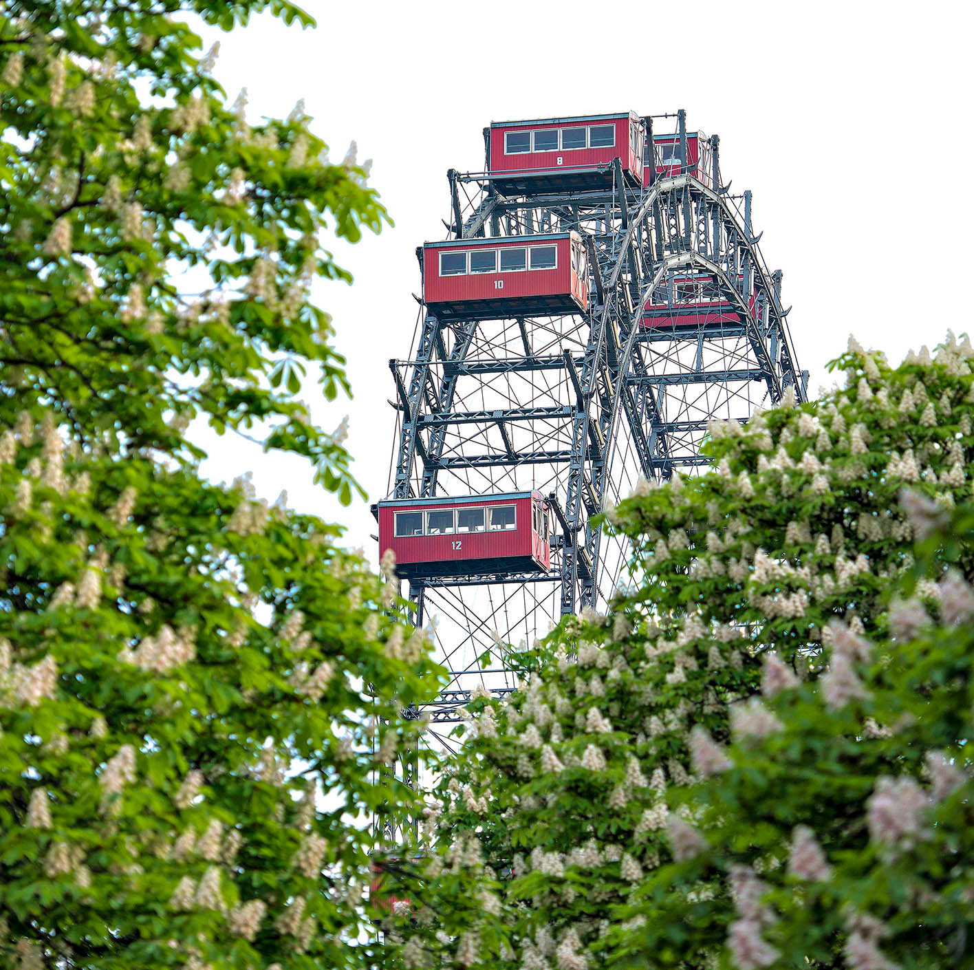 Riesenrad mit blühenden Kastanien im Mai, 1020