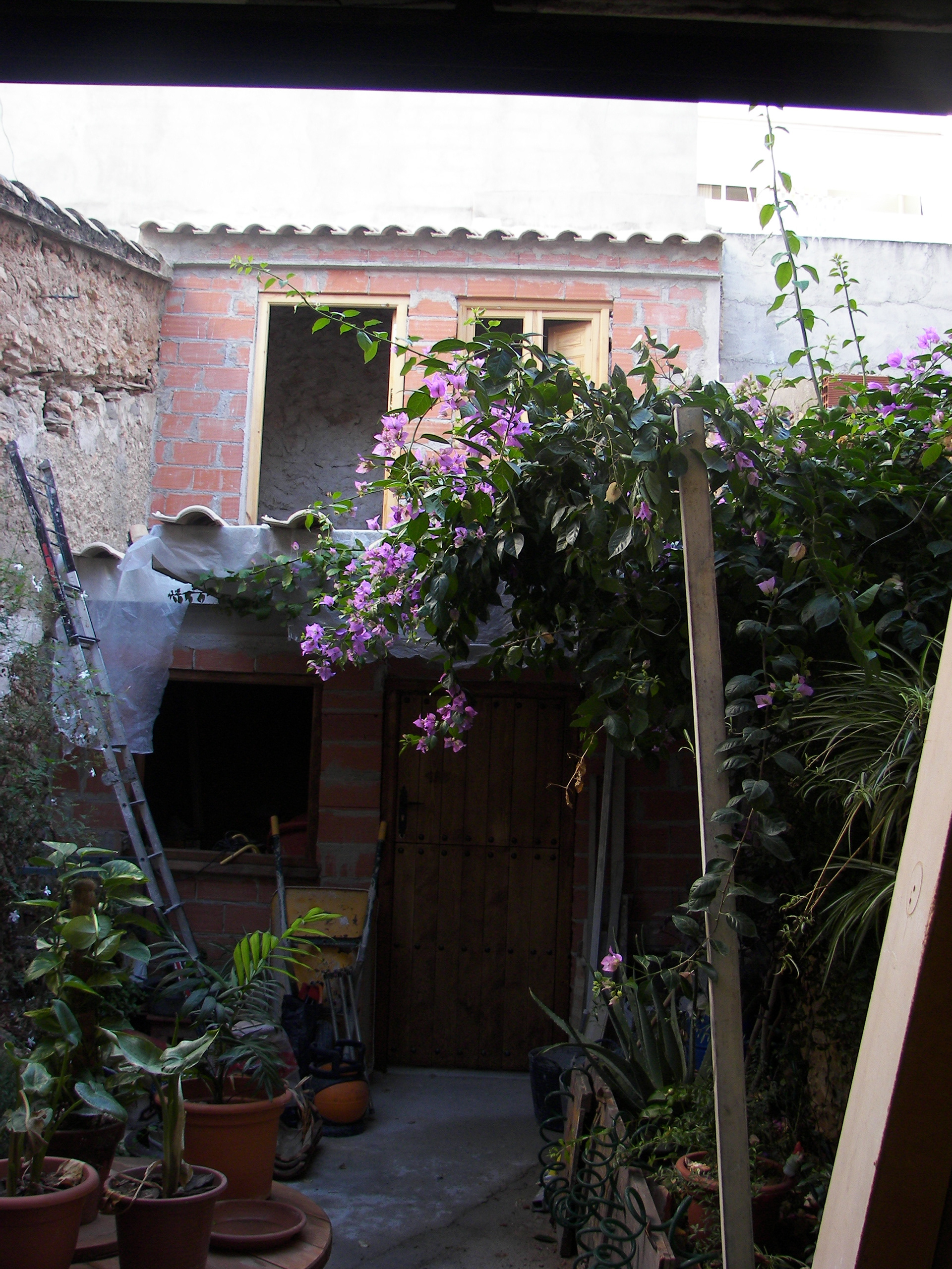En proceso, con la buganvilla cogiendo fuerza.