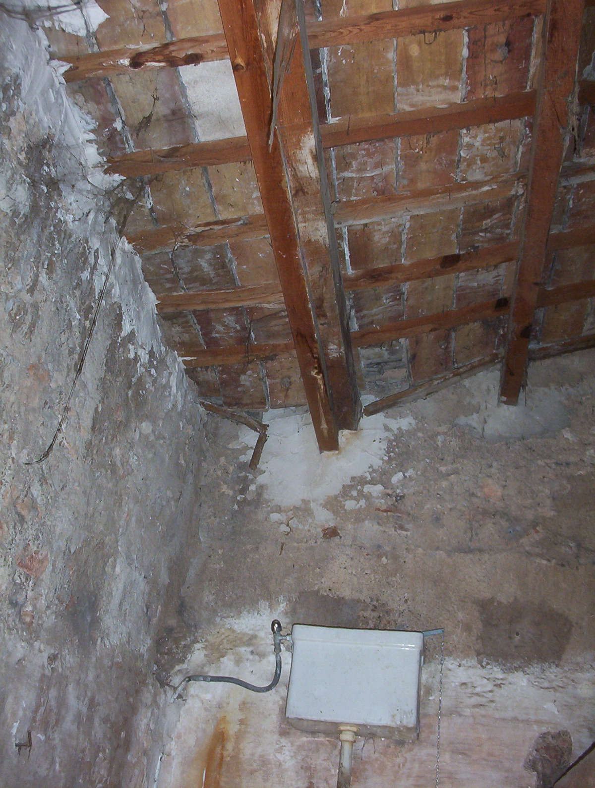 Único baño ubicado en la palliza y debajo la fosa séptica