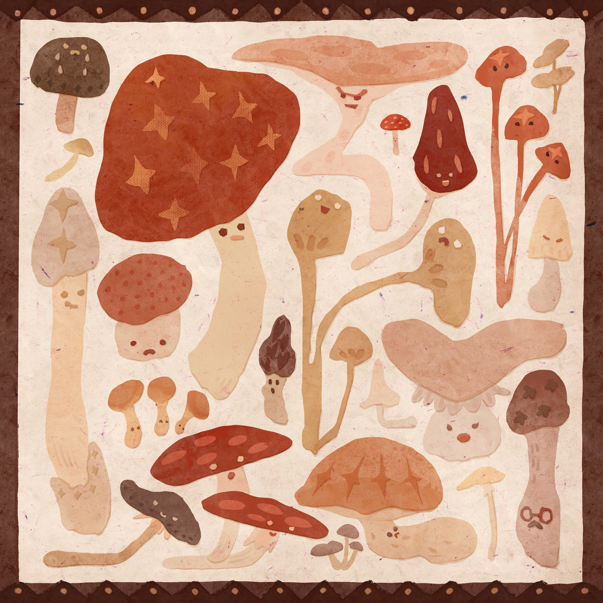 Mushroom Collection