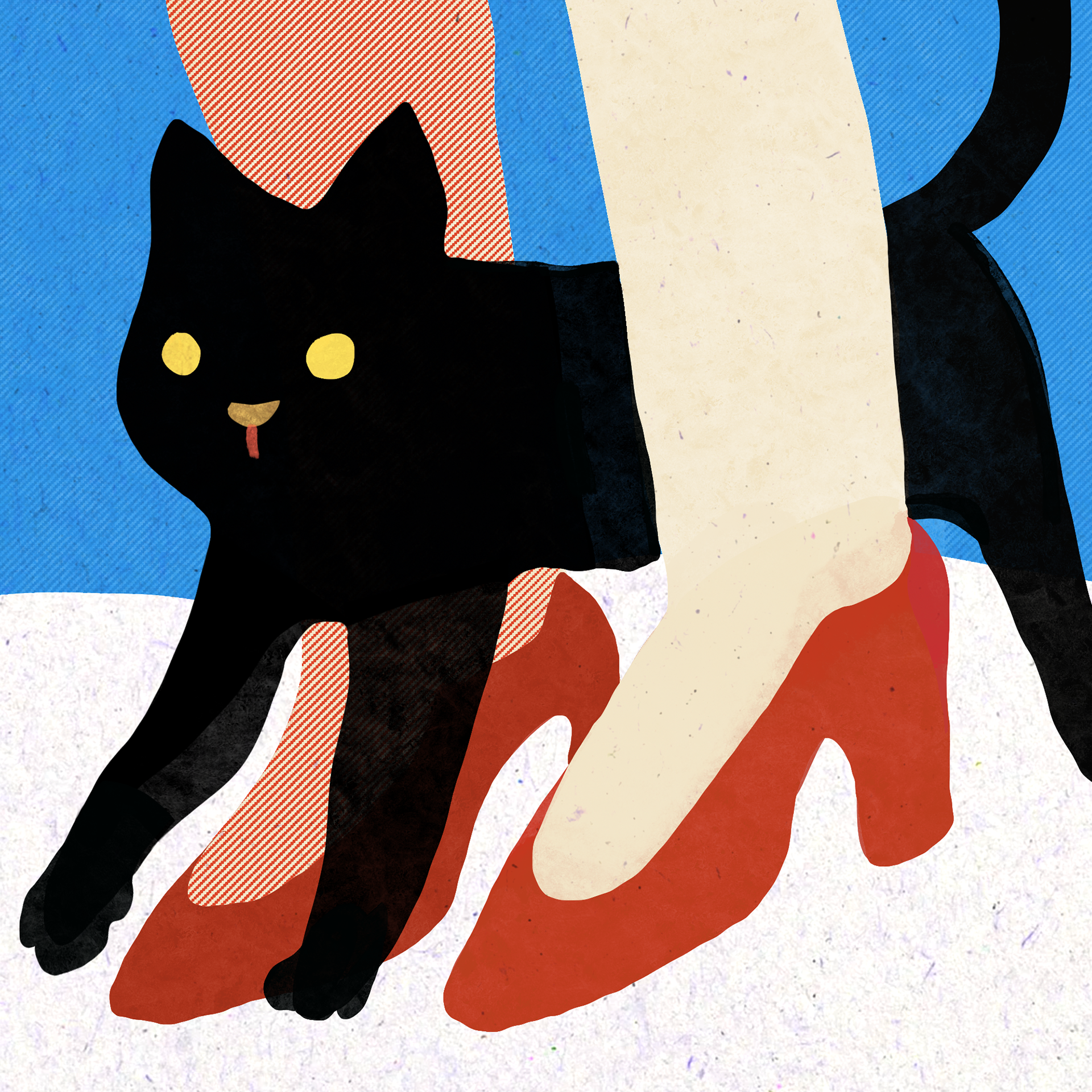 Chat Noir