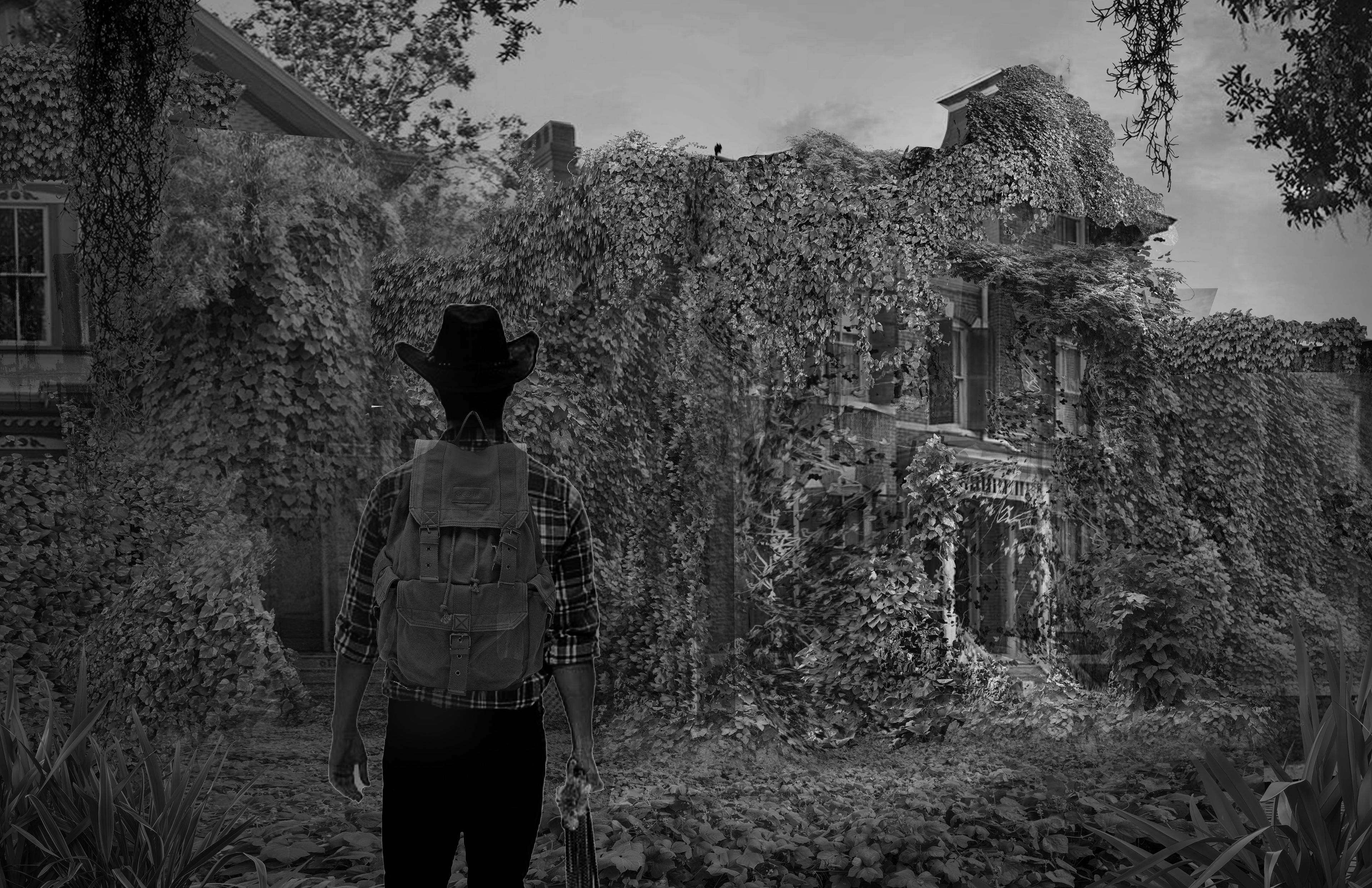 House Study Overgrowth: D
