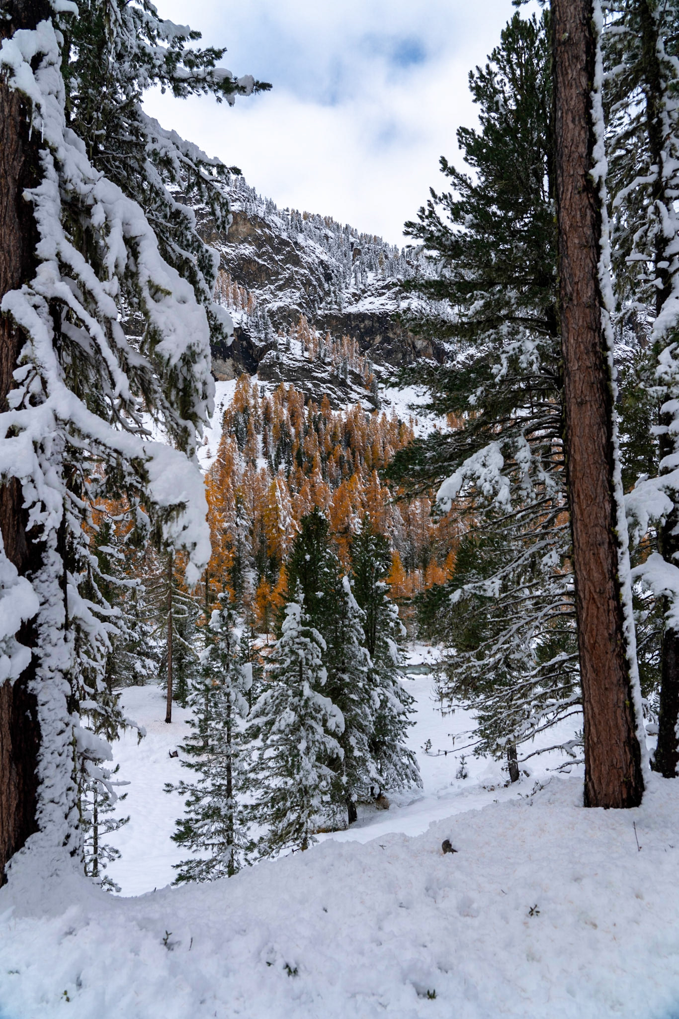 Herbst trifft Winter im Engadin