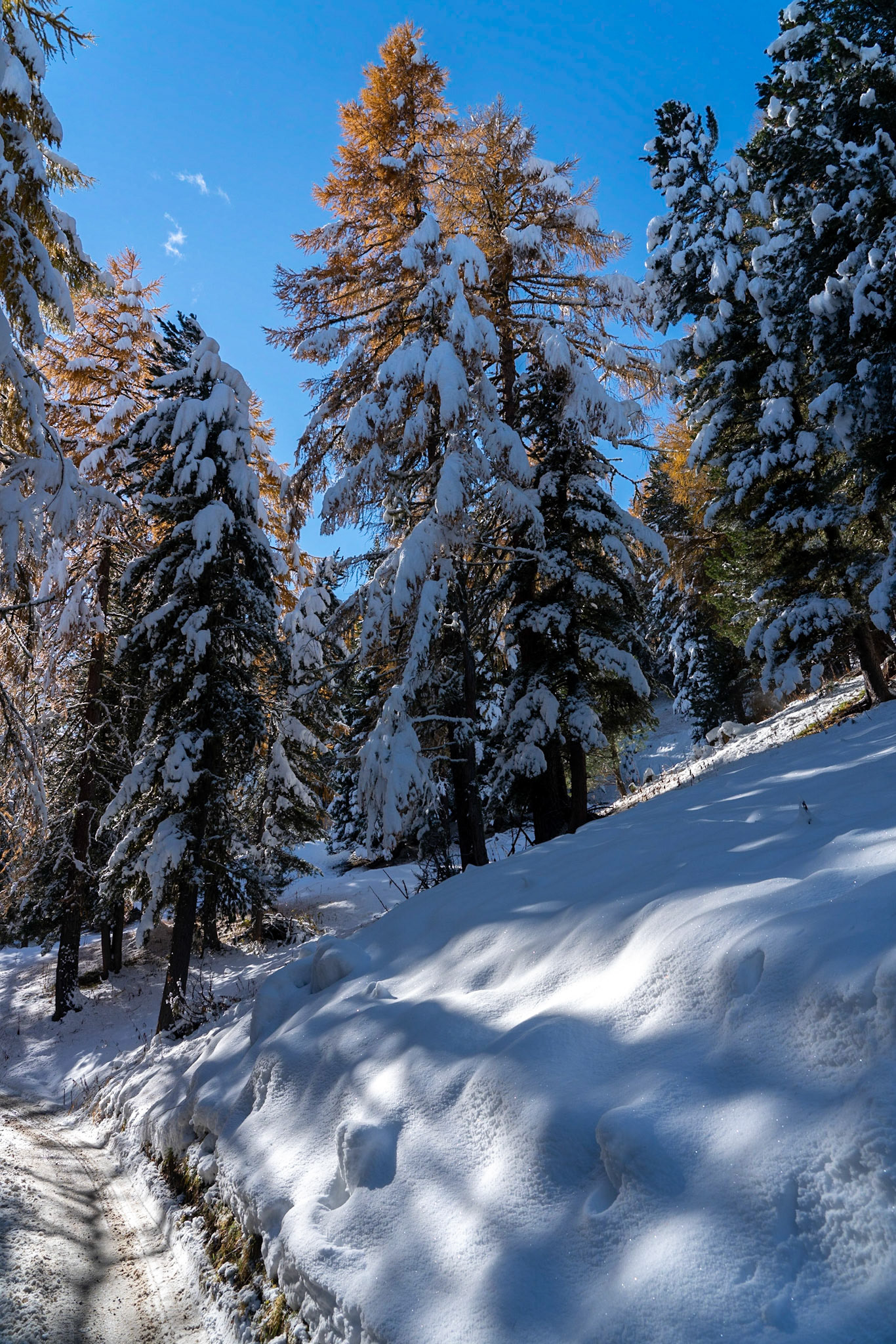 Herbst trifft Winter im Engadin
