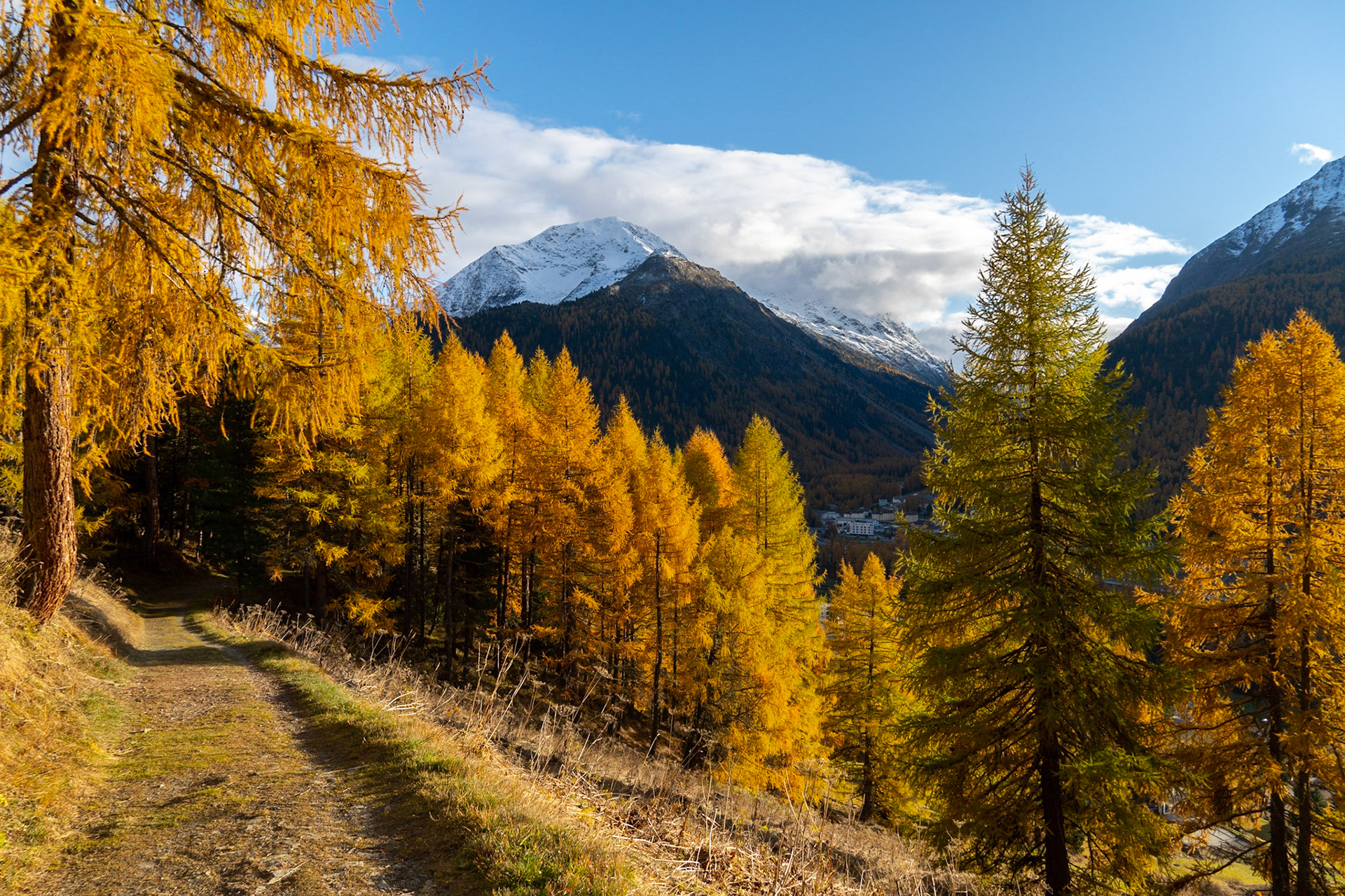 Goldener Herbst im Engadin