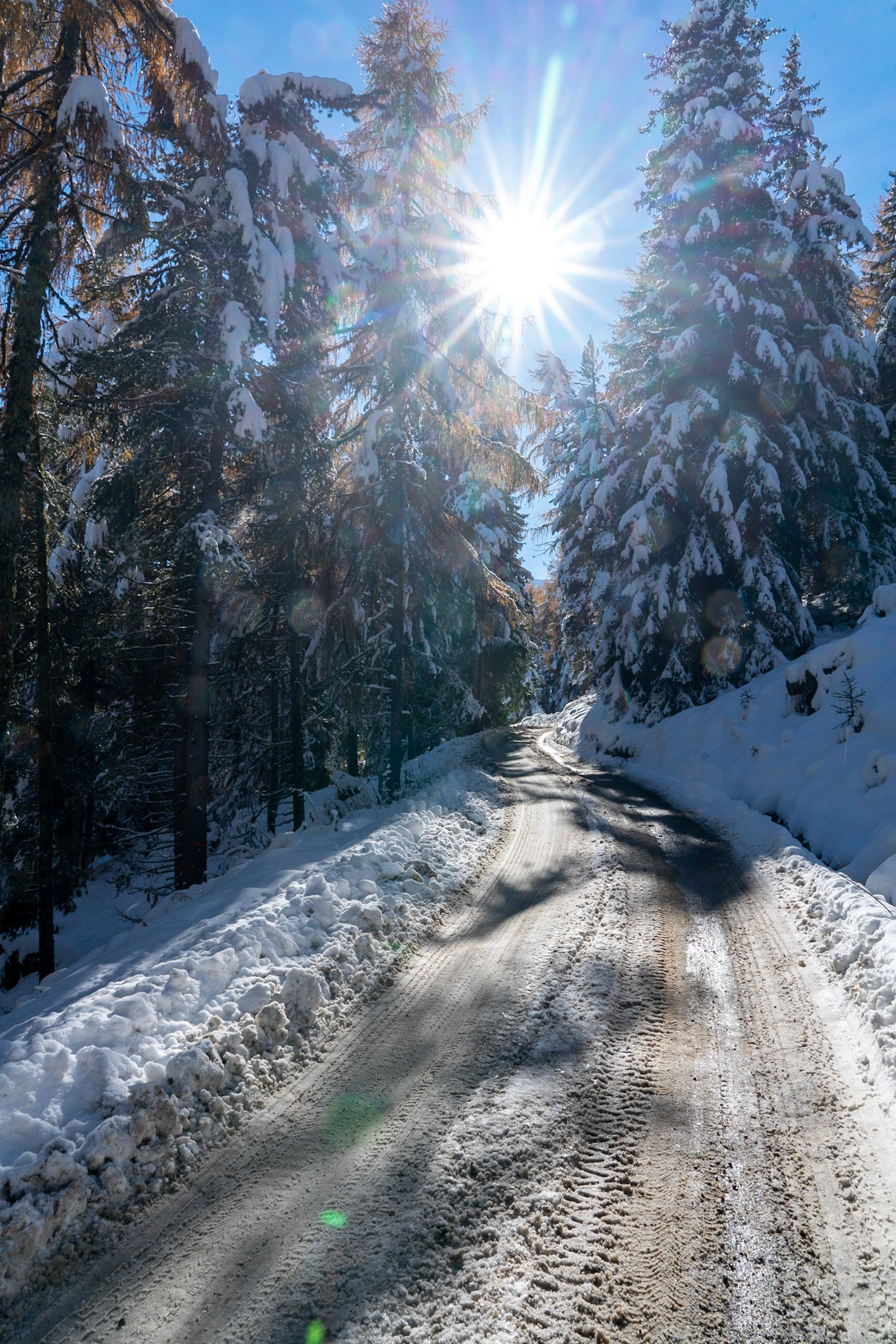 Herbst trifft Winter im Engadin