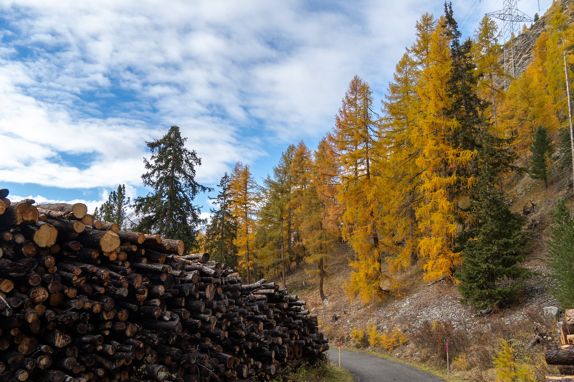 Goldener Herbst im Engadin
