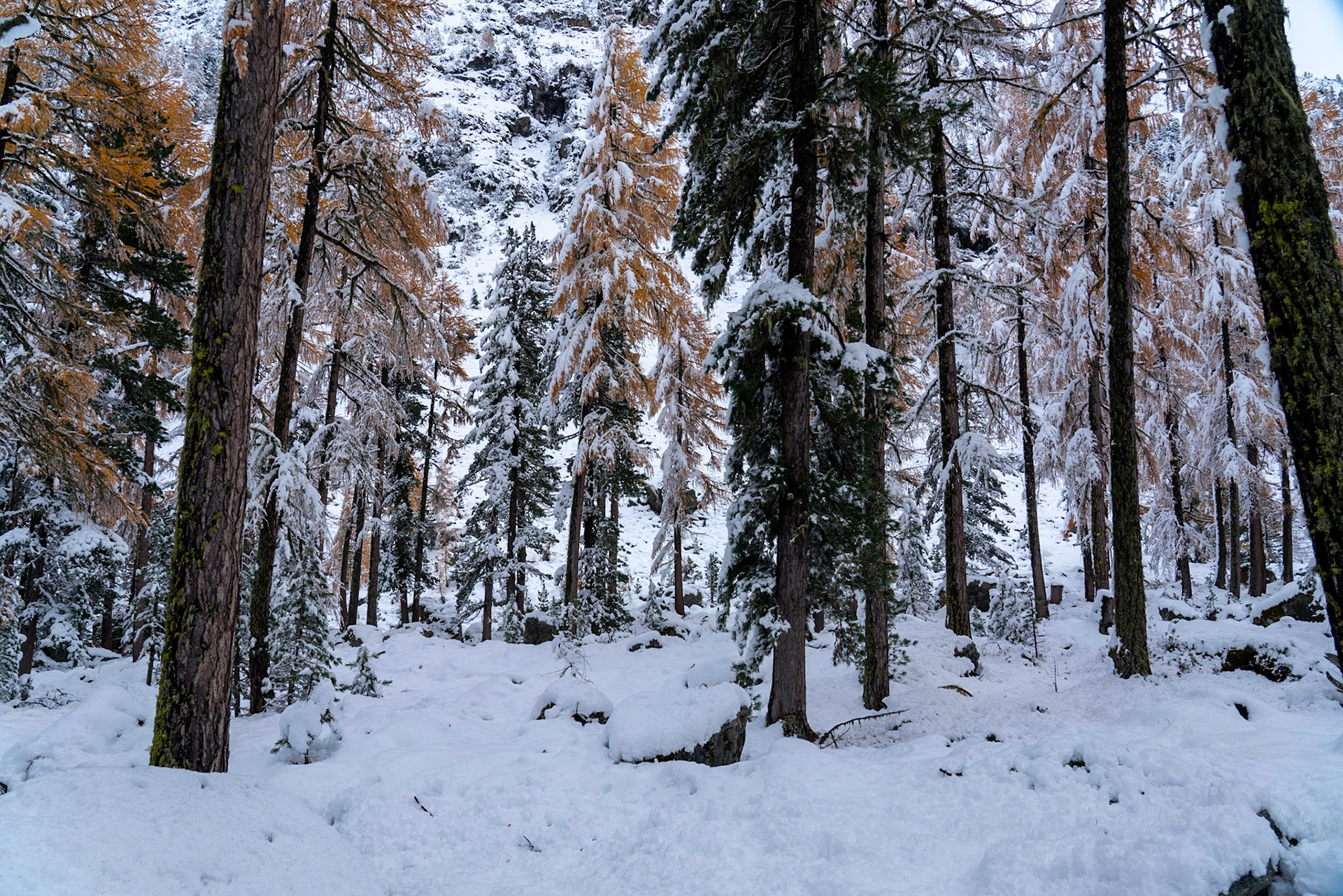 Herbst trifft Winter im Engadin
