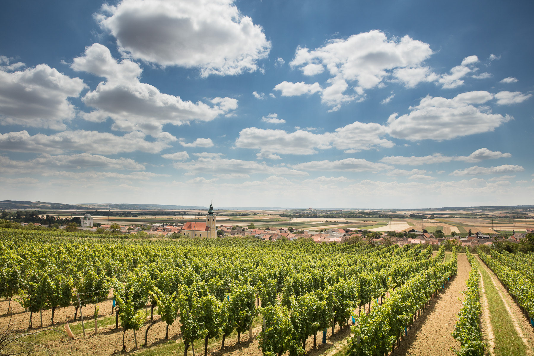 Röschitz, Weinviertel