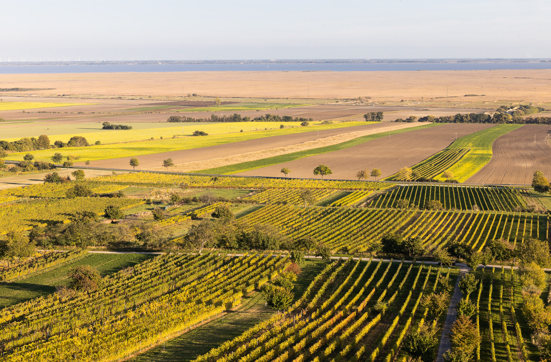 Neusiedlersee-Himmelreich
