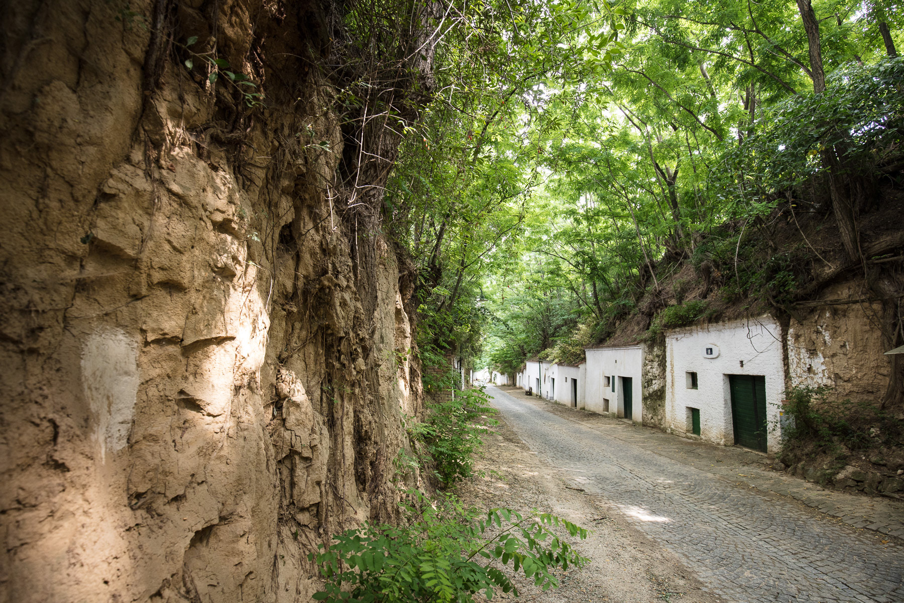Kellergasse Poysdorf