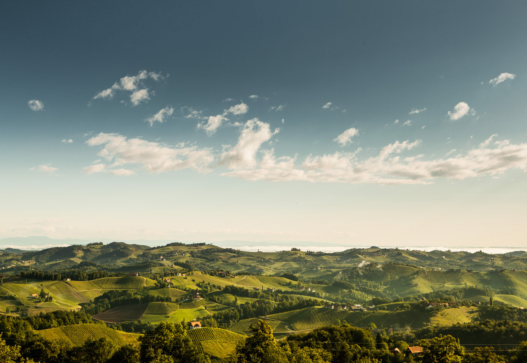 Südsteirische Weinstrasse