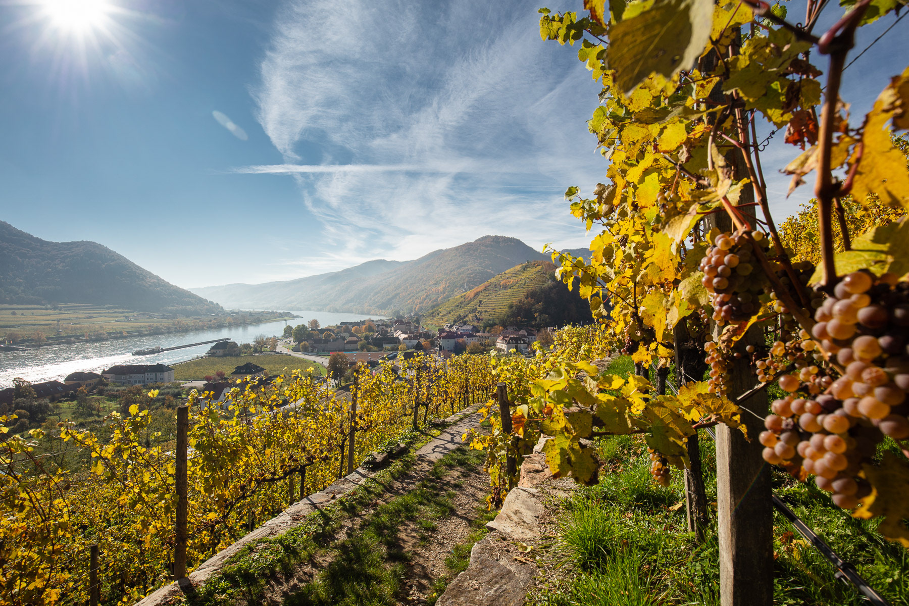 Spitz an der Donau, Wachau