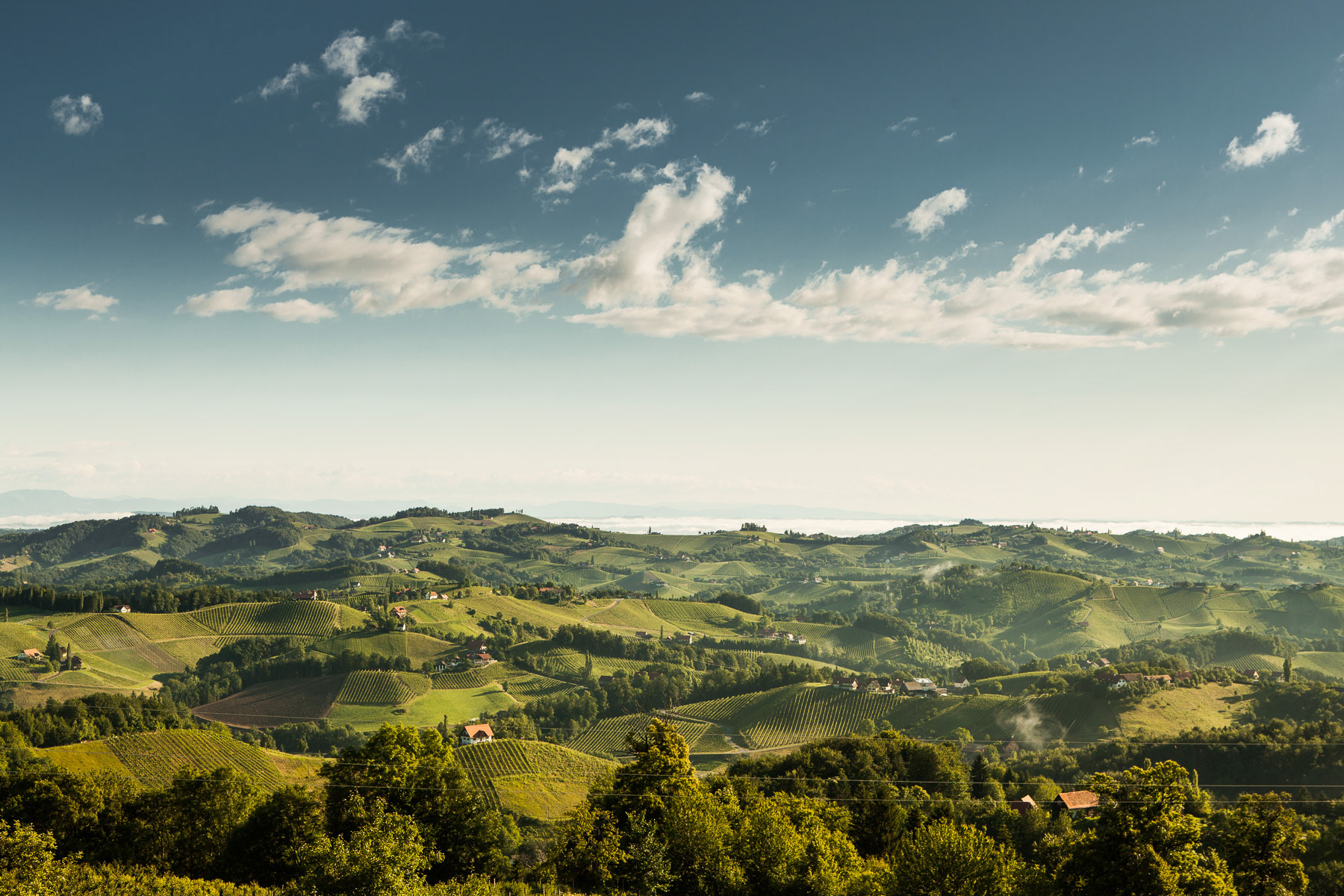 Südsteirische Weinstrasse