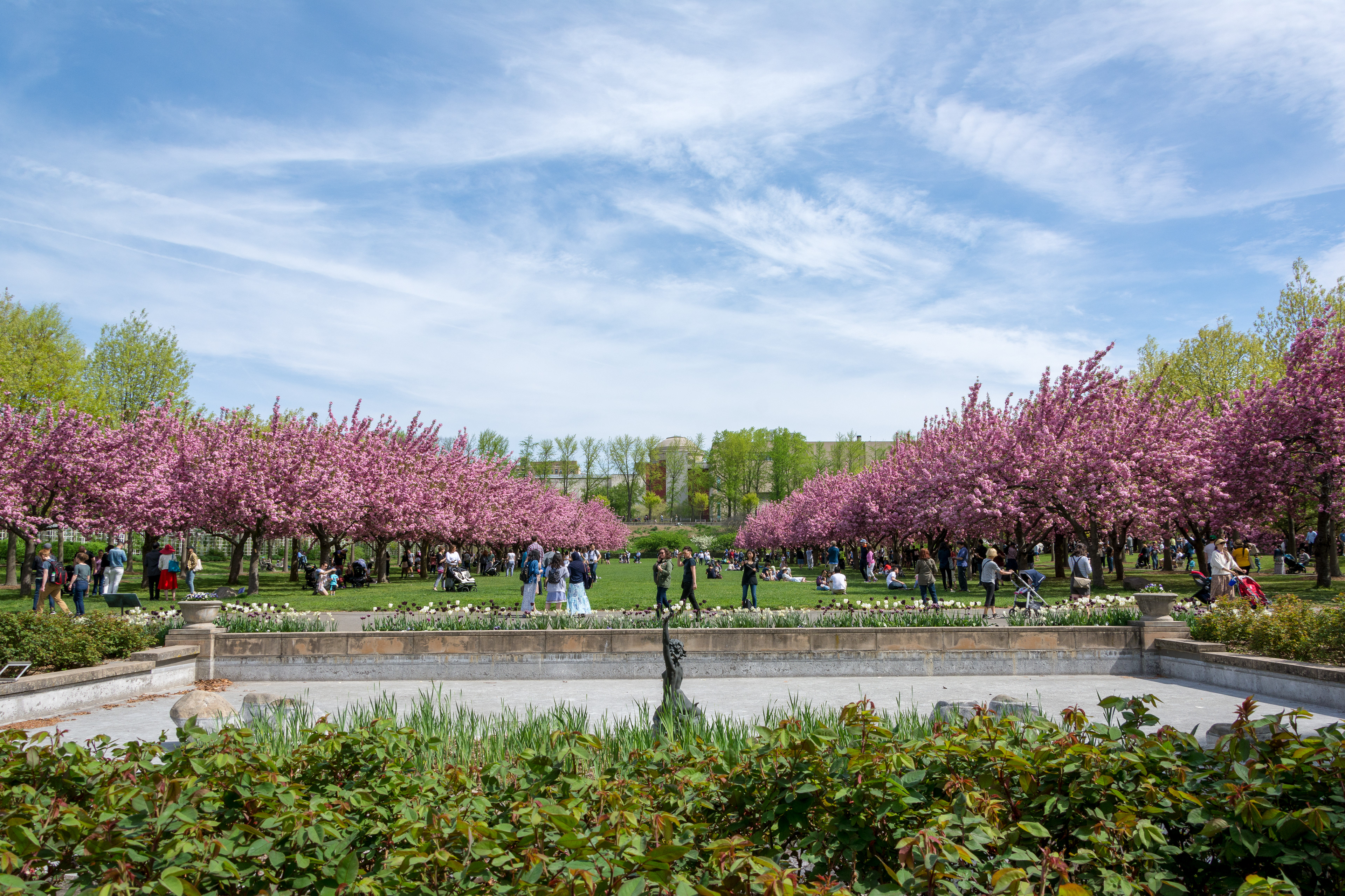 Brooklyn Botanic Garden