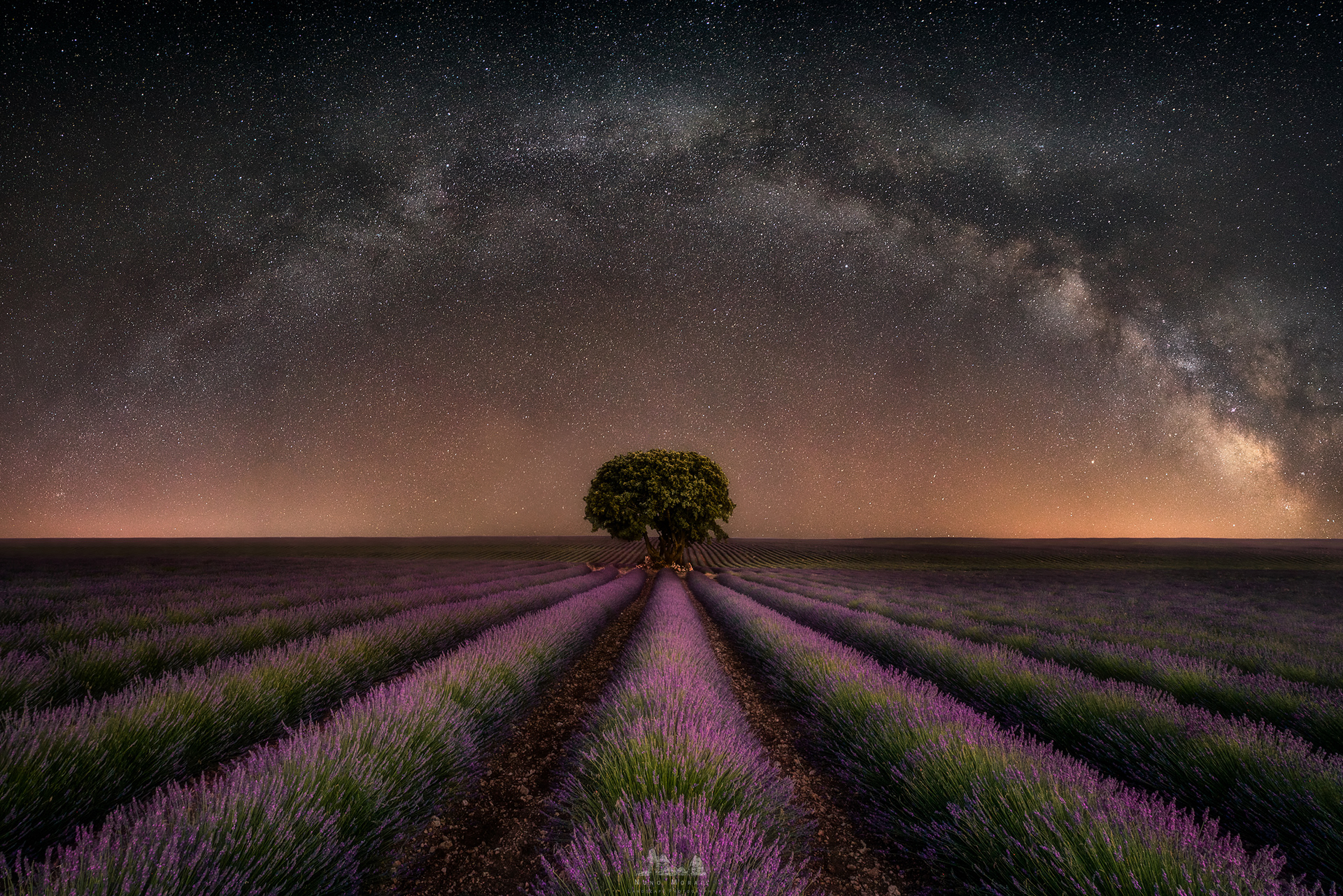 Brihuega Lavander Fields - Spain