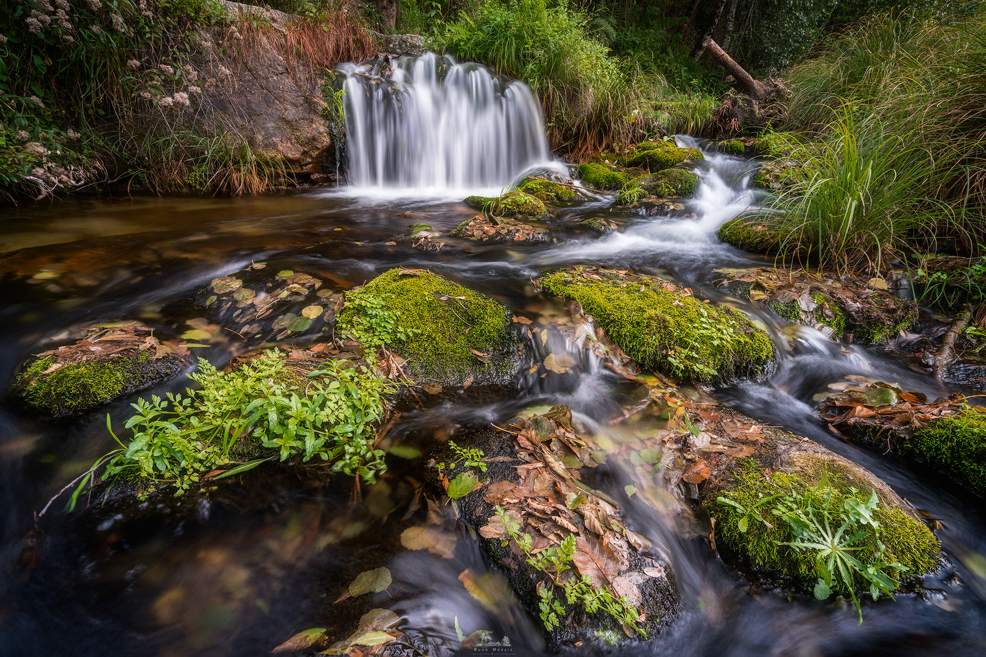 Bestança River, Cinfães - Portugal