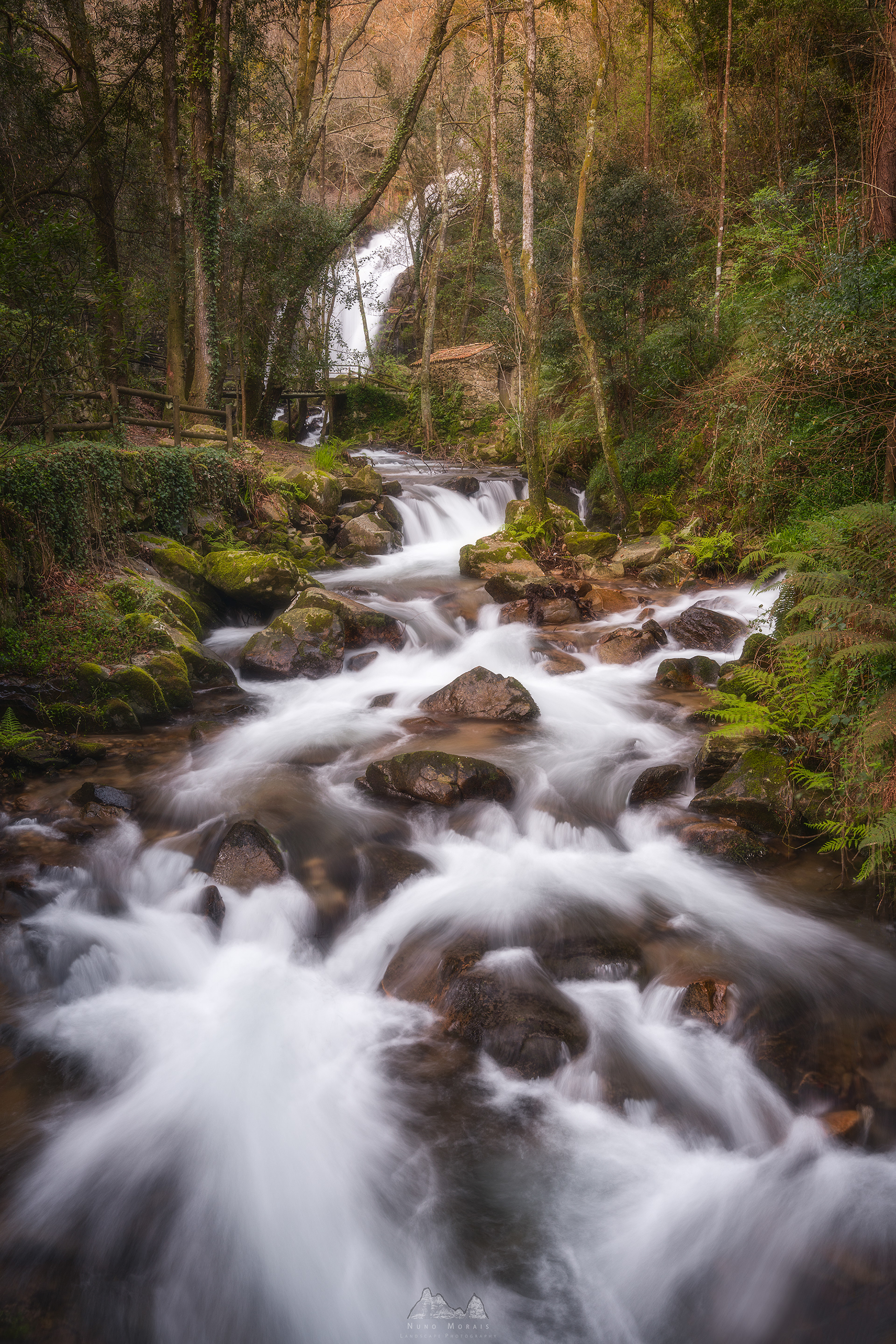 Cabreia, Sever do Vouga - Portugal
