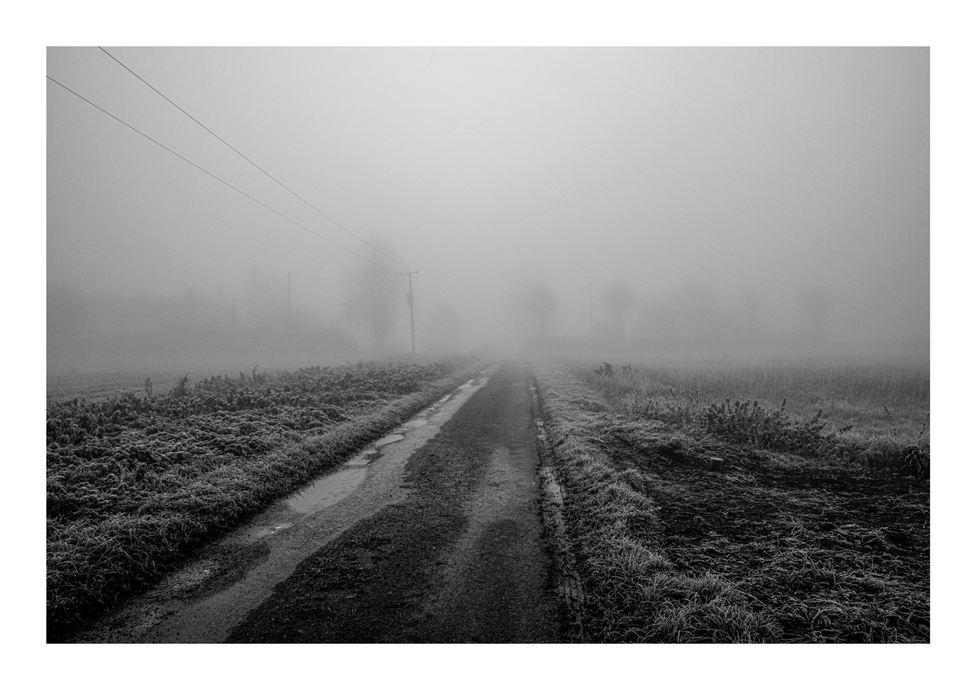 Fog on Cross Lane