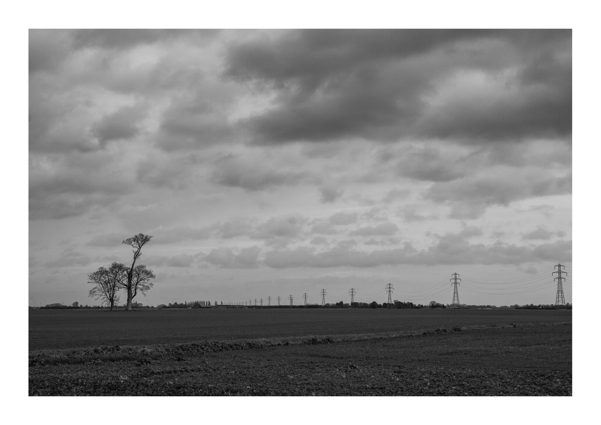 Mole Drove, Sutton Fen