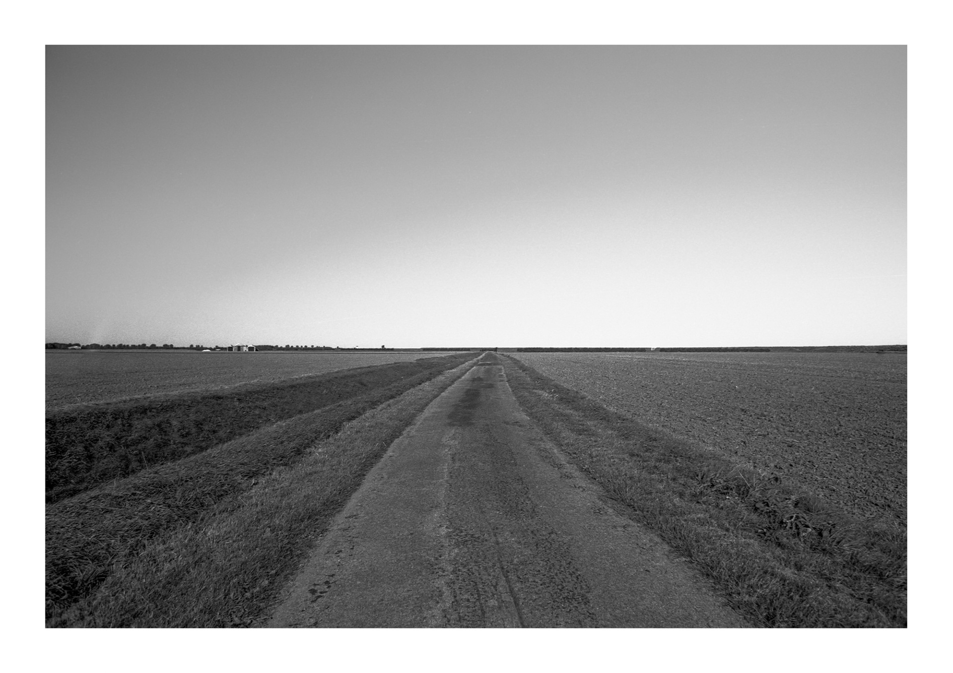Gedney Marsh