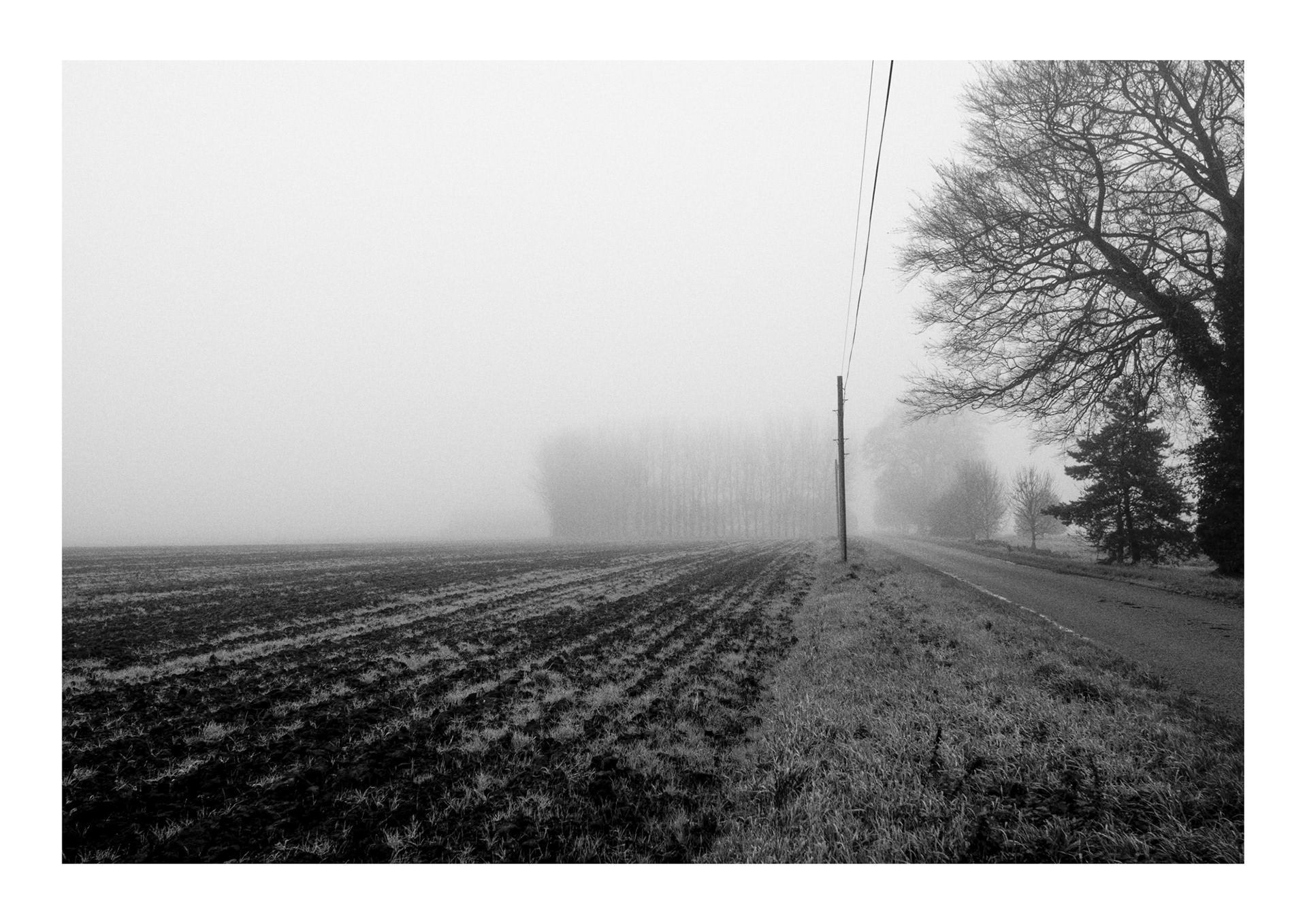 Field at Guyhirn