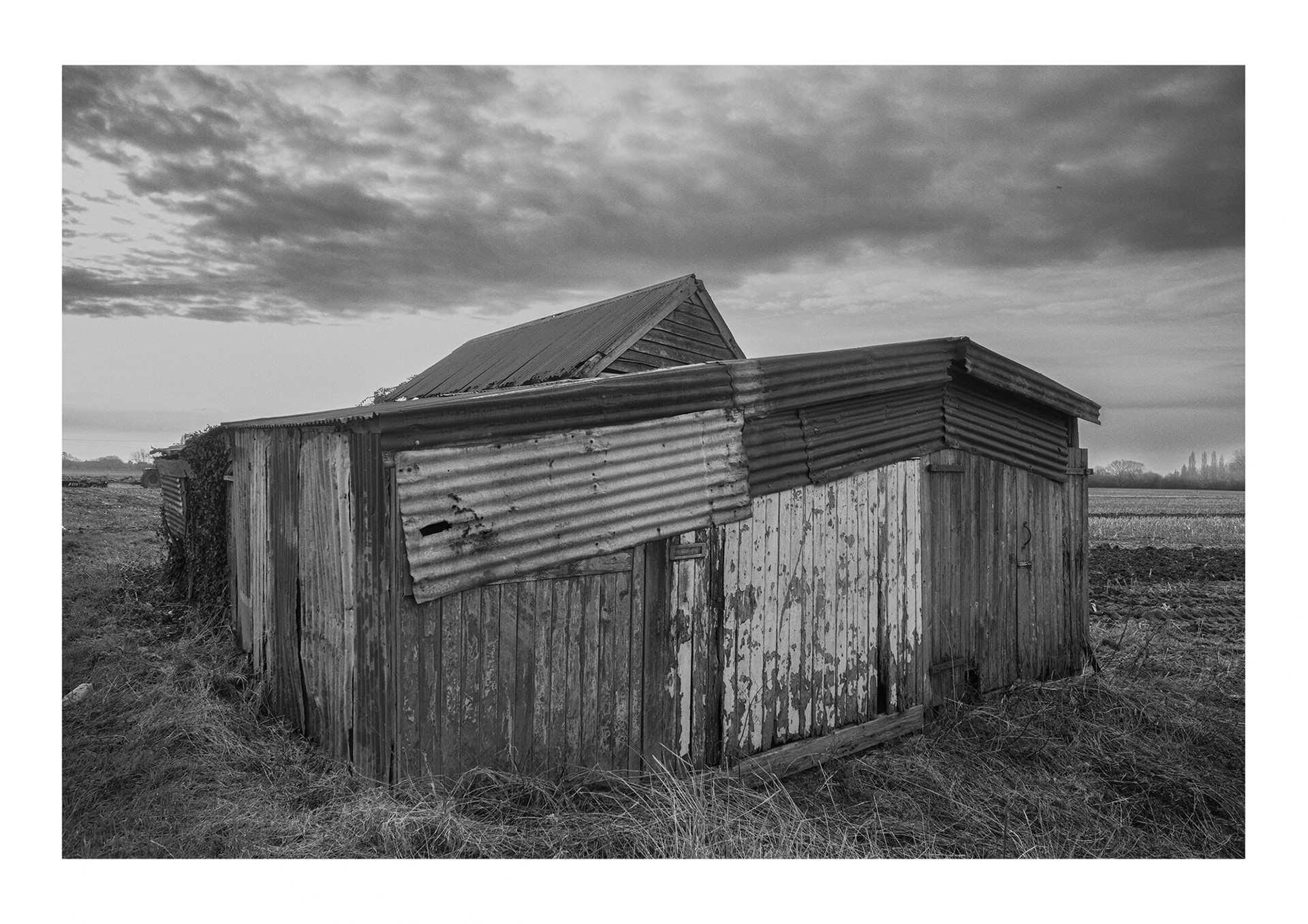 Shed, Gadd's Lane