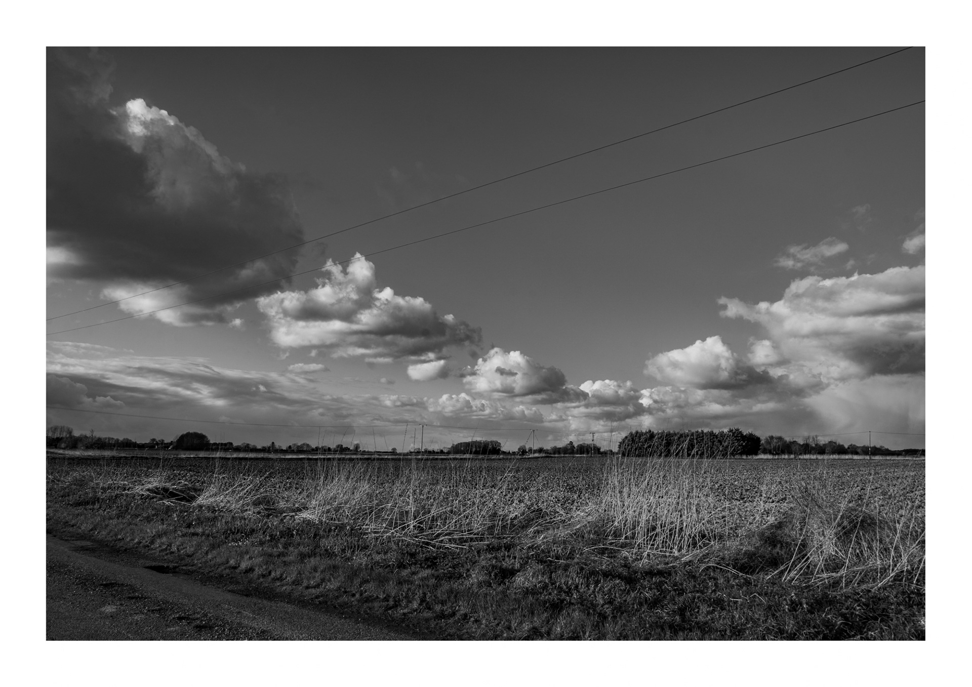Fenland Skies 2, Mouth Lane