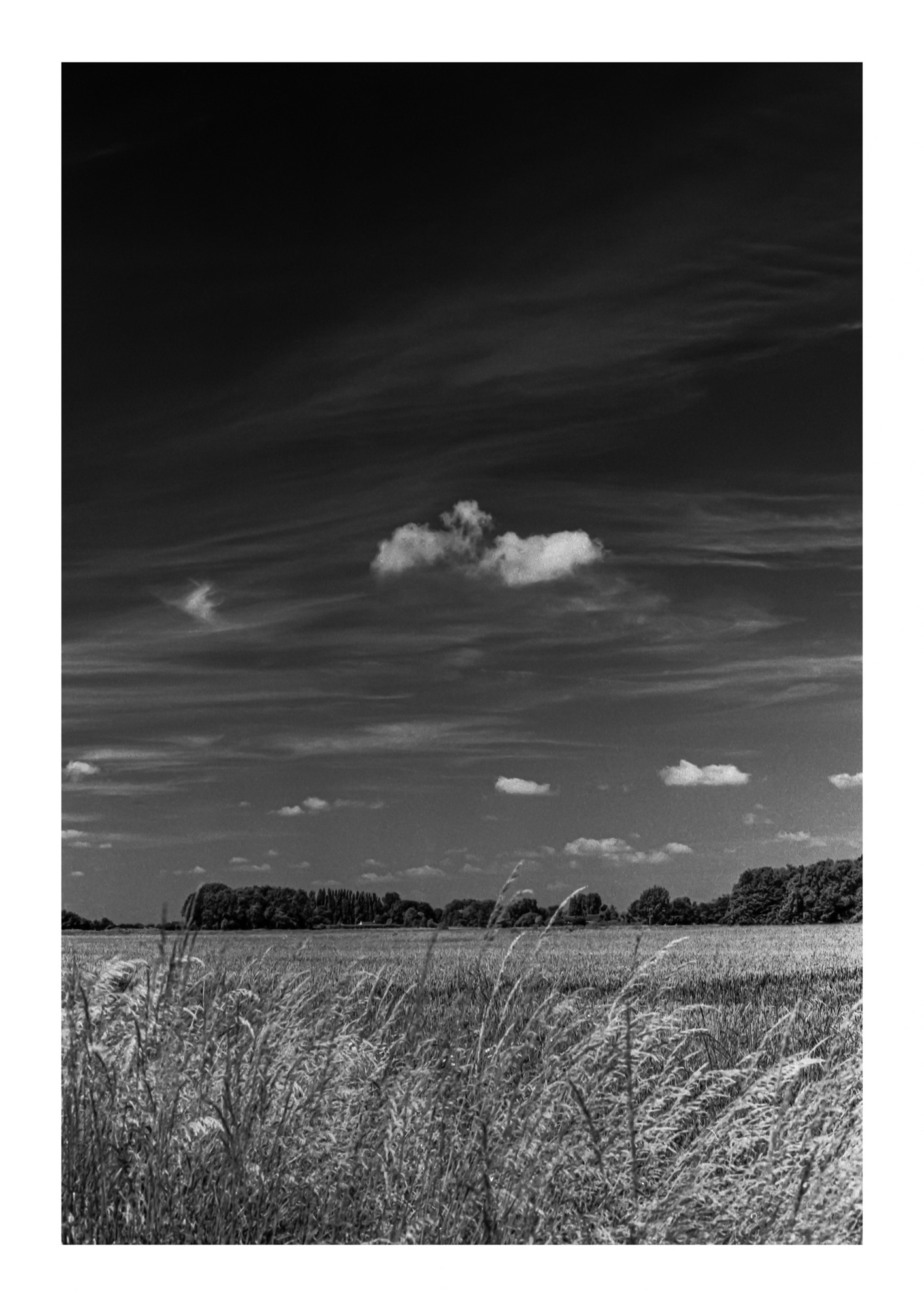 Fenland Skies, Mouth Lane
