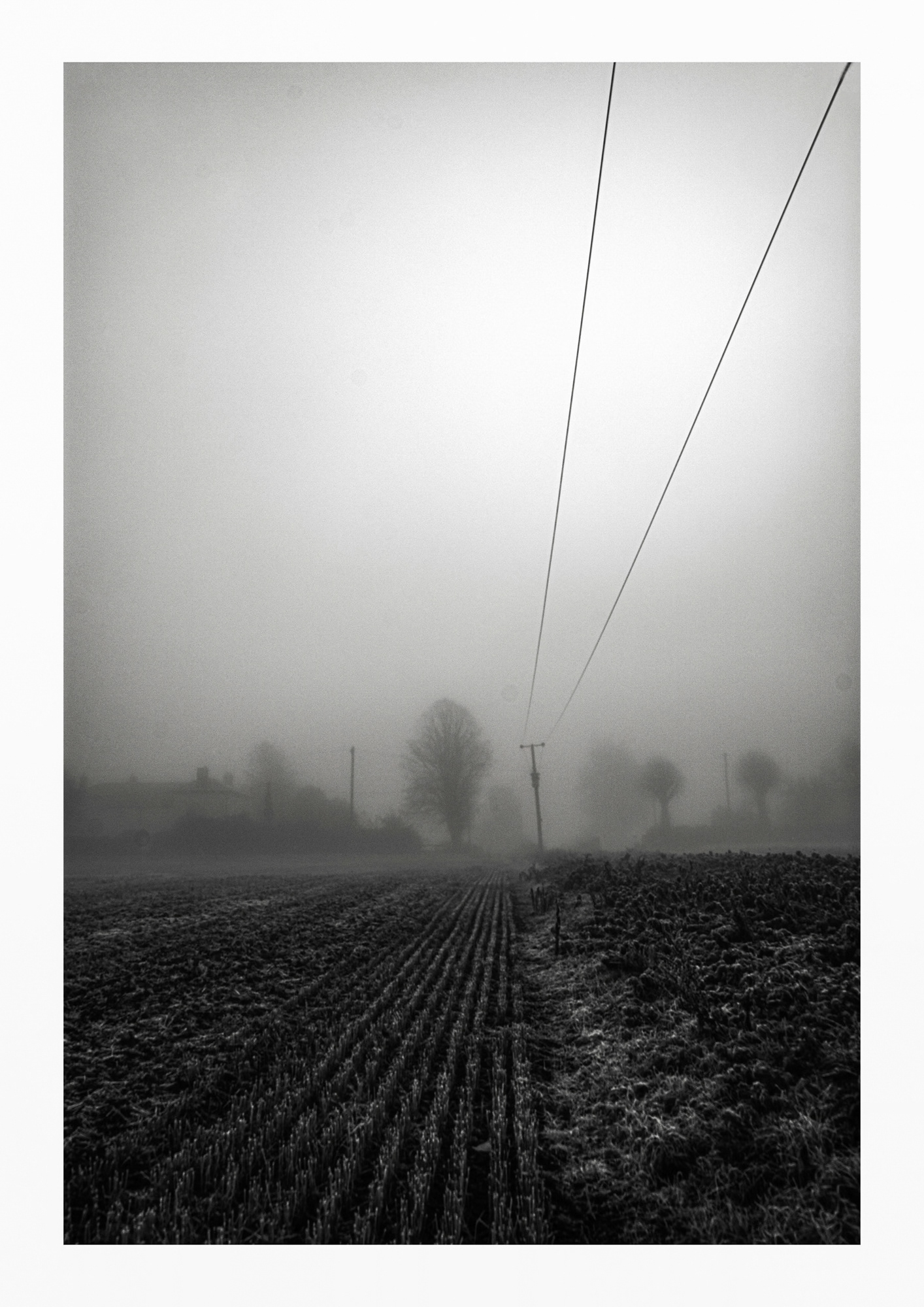 Fog, Mouth Lane 1