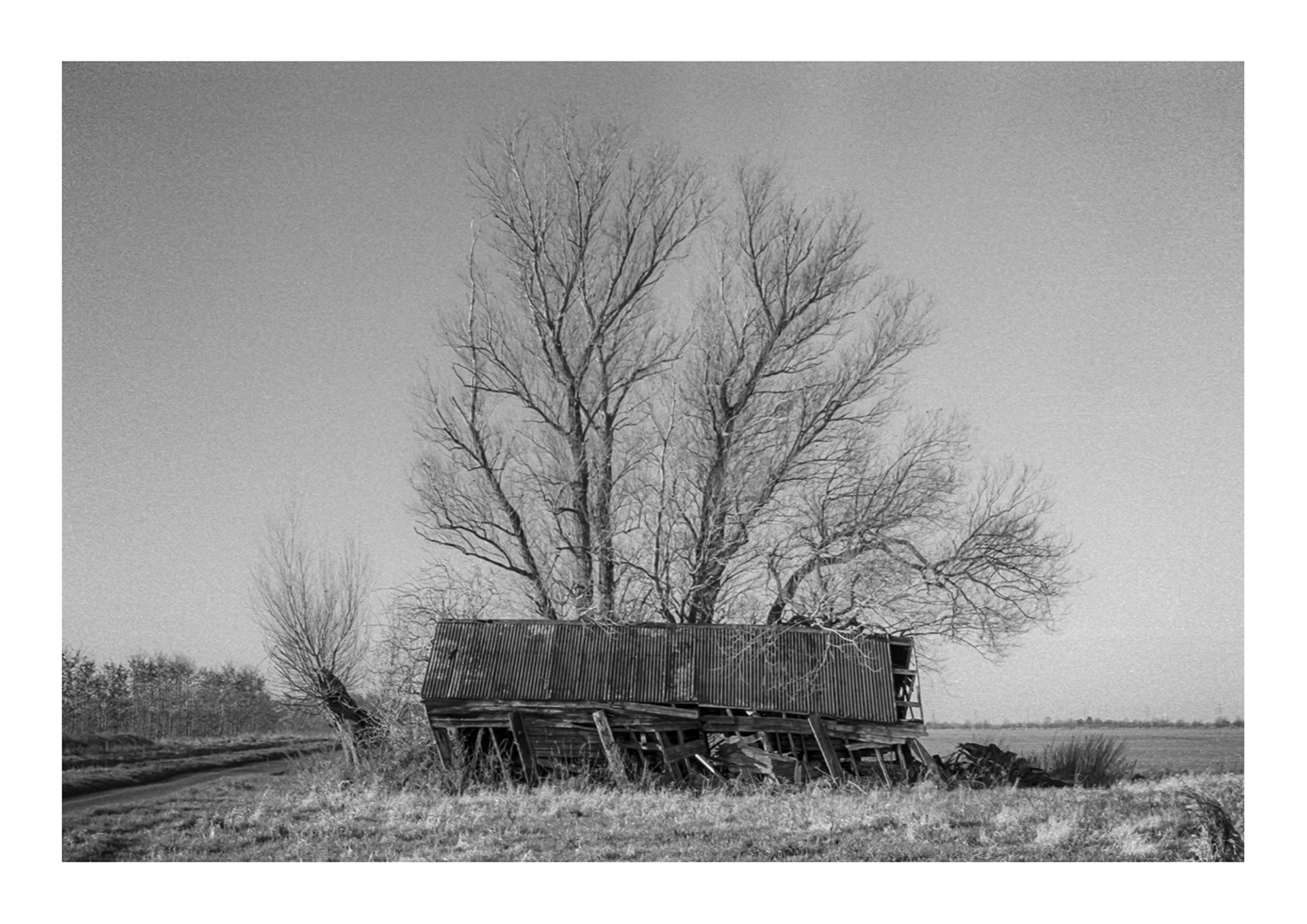 Shed in the Fens