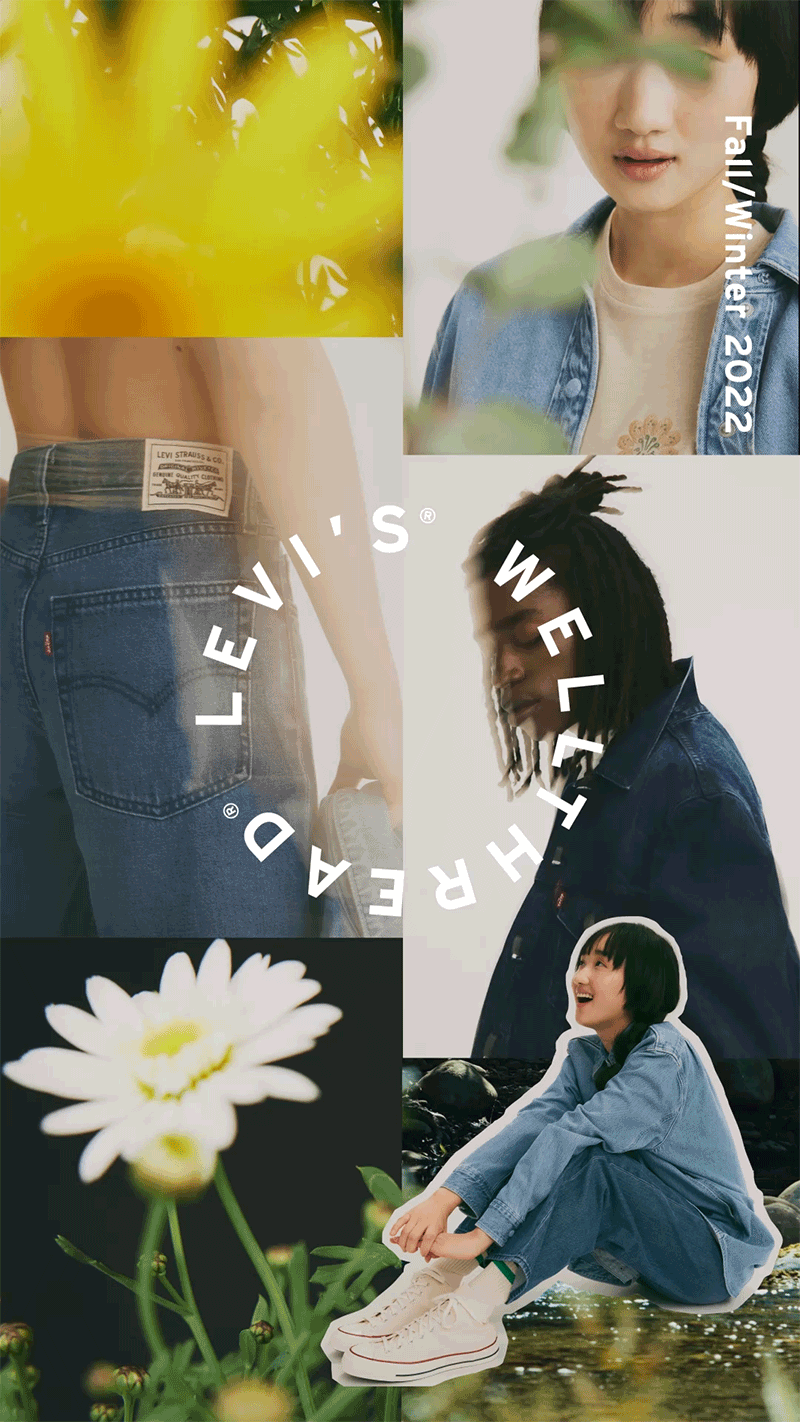 IG Intro Frame