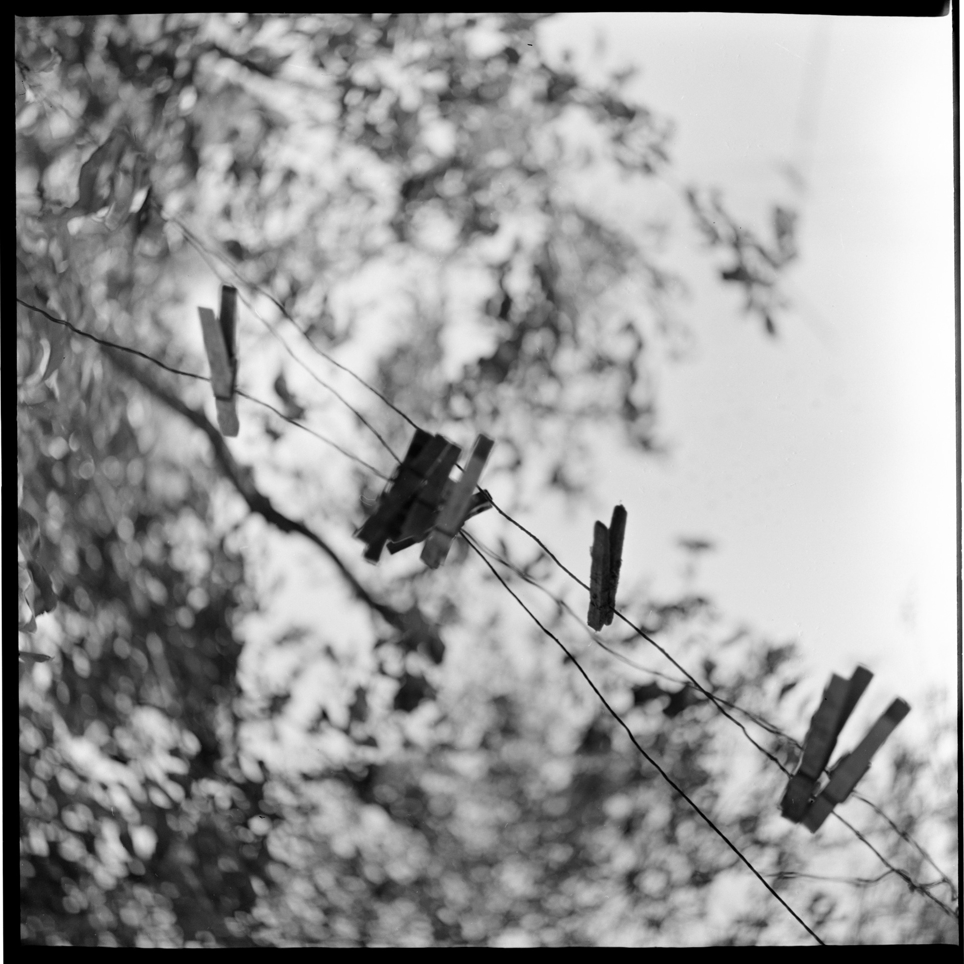 Parent's Backyard Clothes Line
