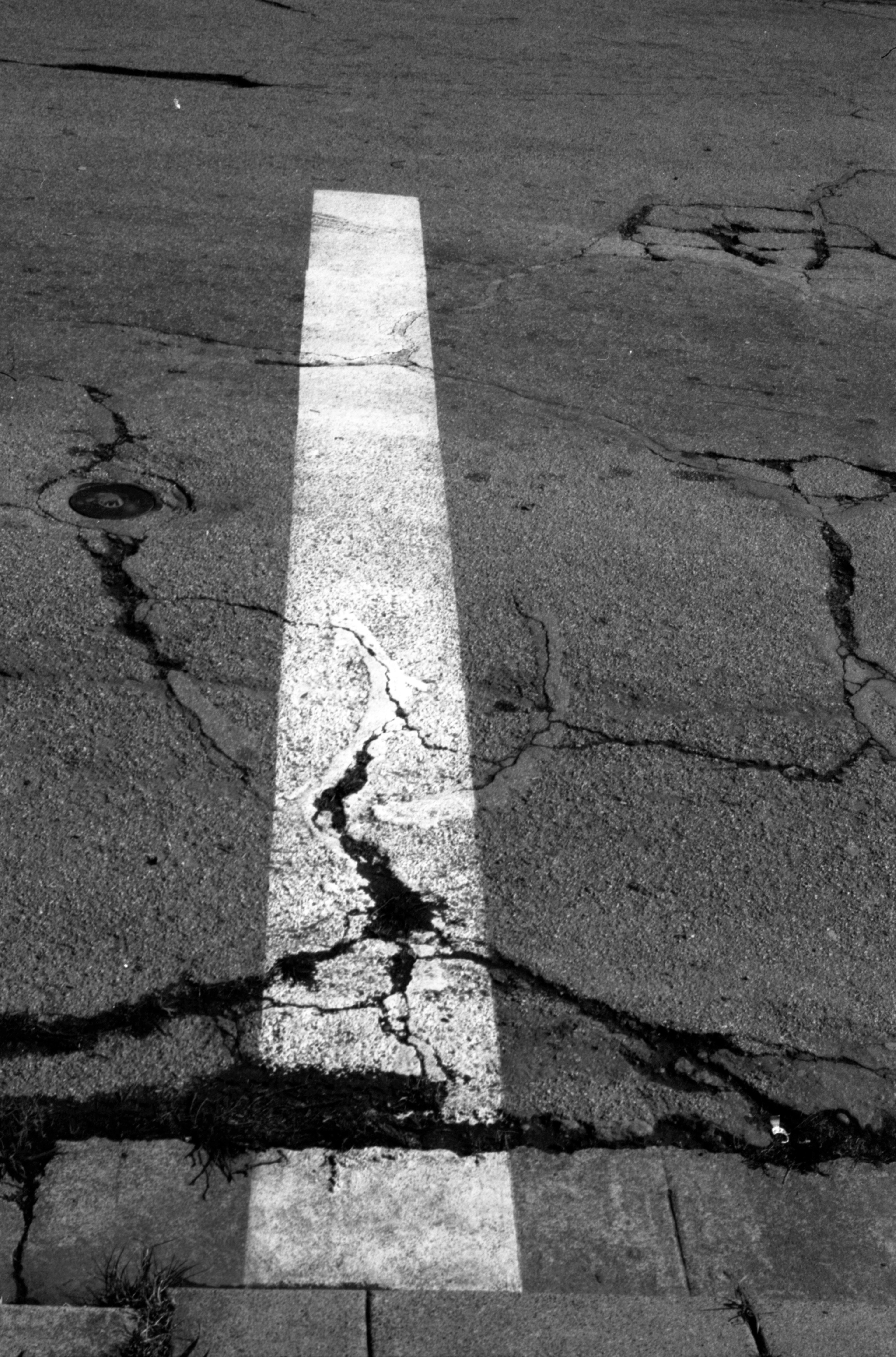 San Francisco Street Stripe