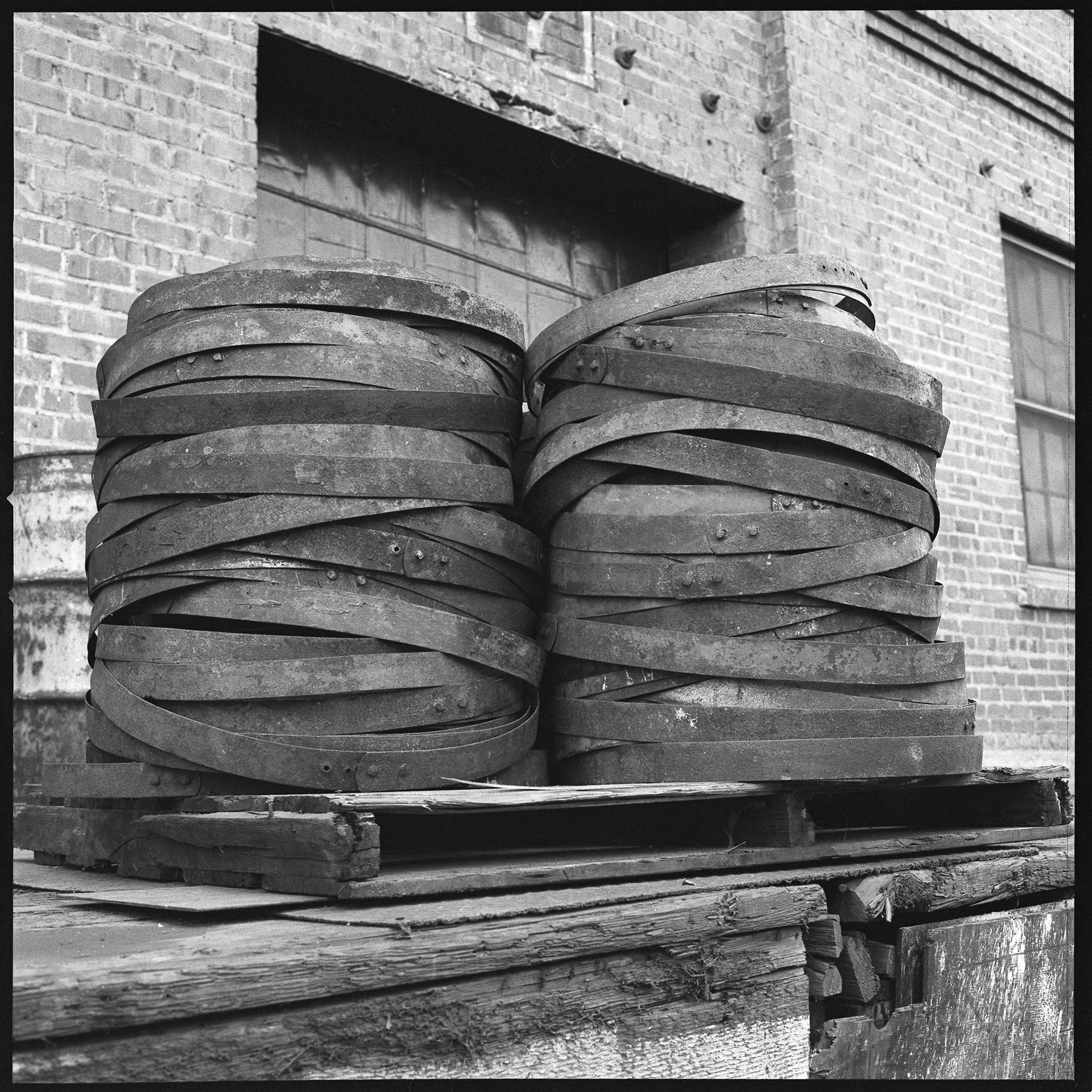 Del Monte Pickle Rings