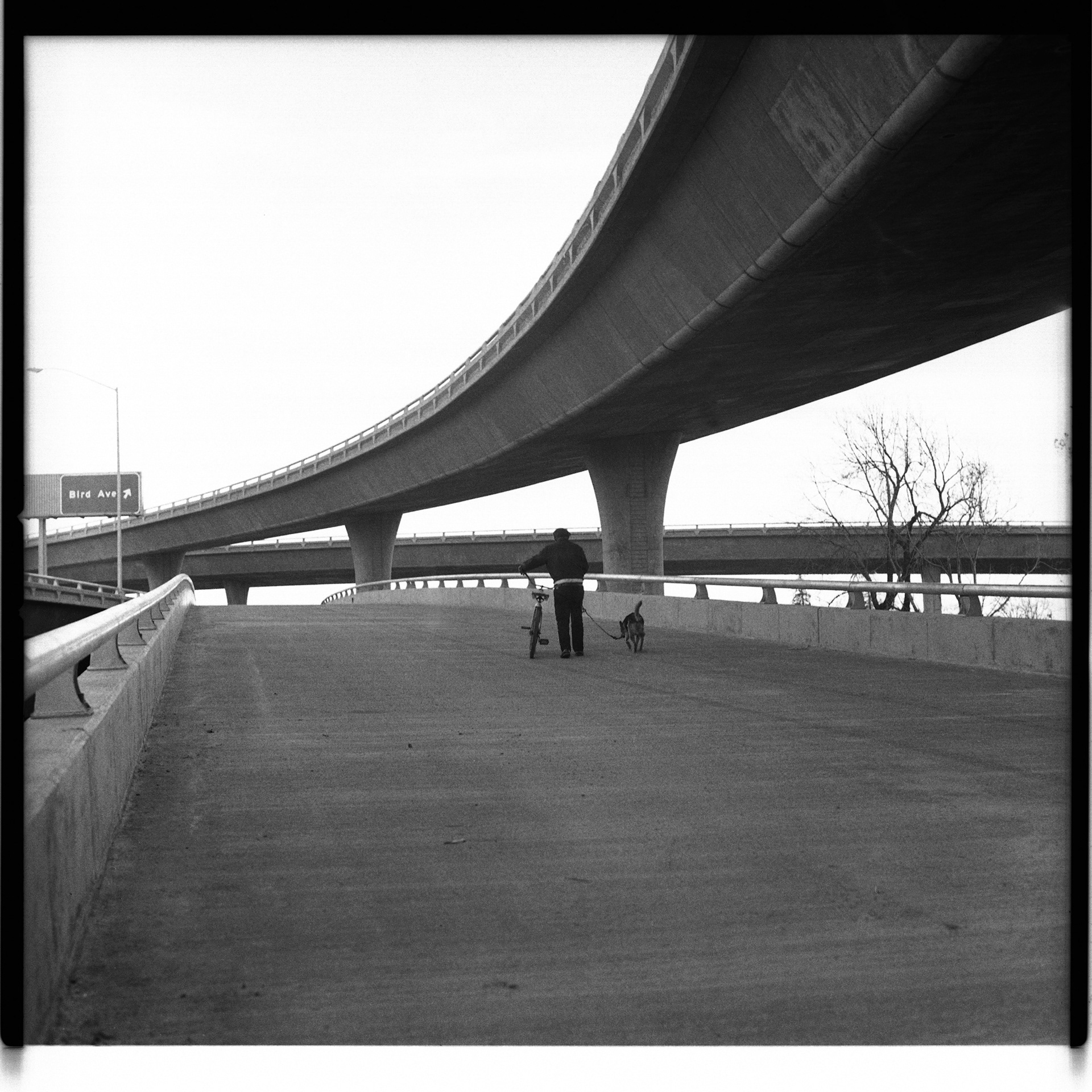 New Downtown San Jose Freeway