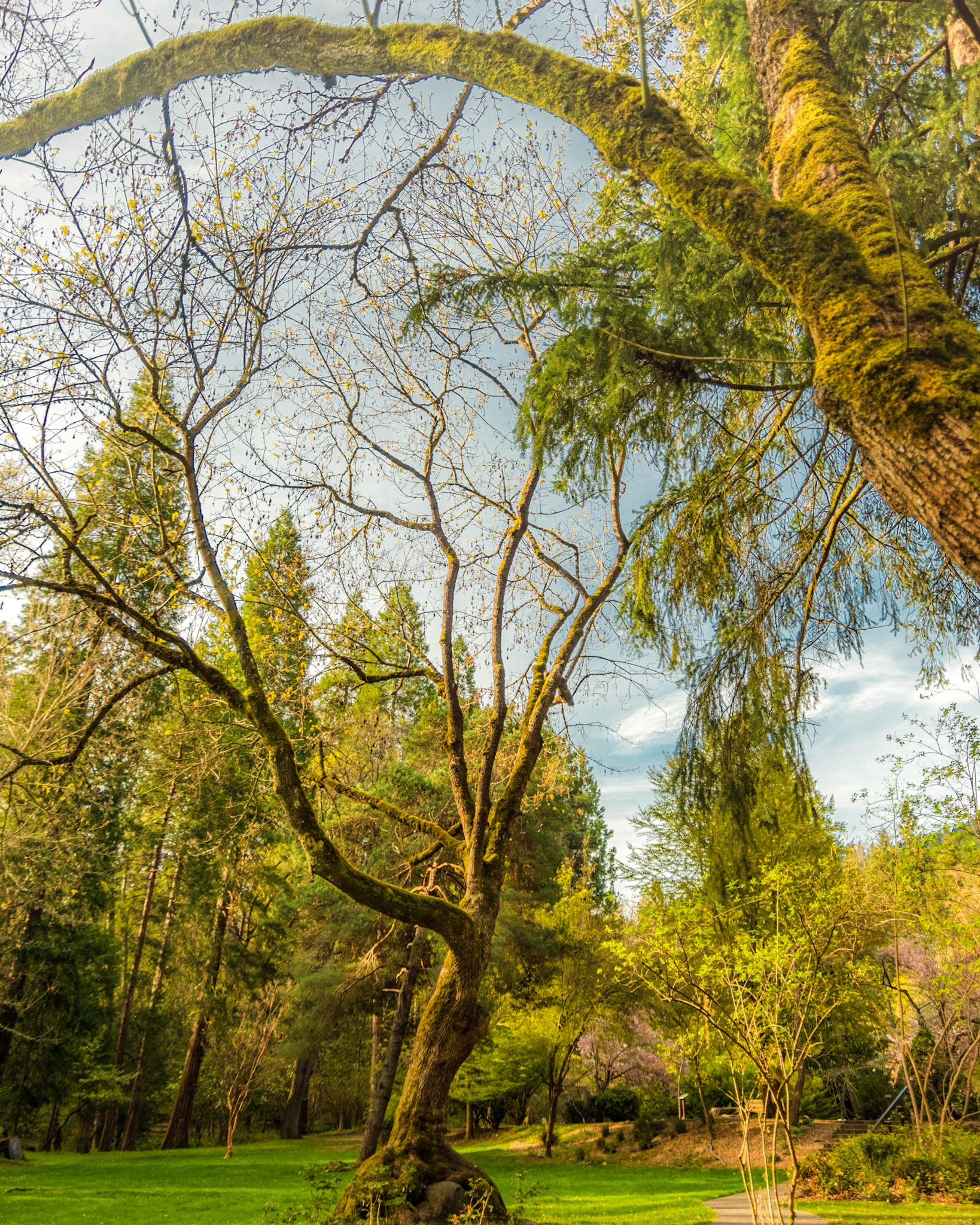 Ashland Oregon Lithia Park
