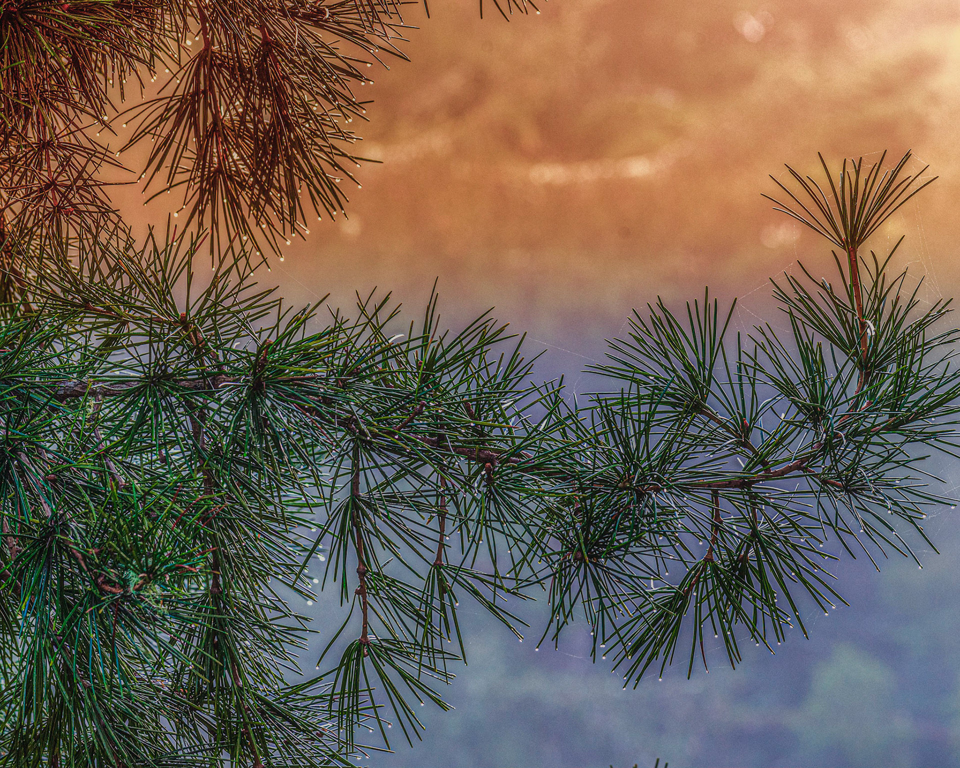 Yachats-Oregon Coast