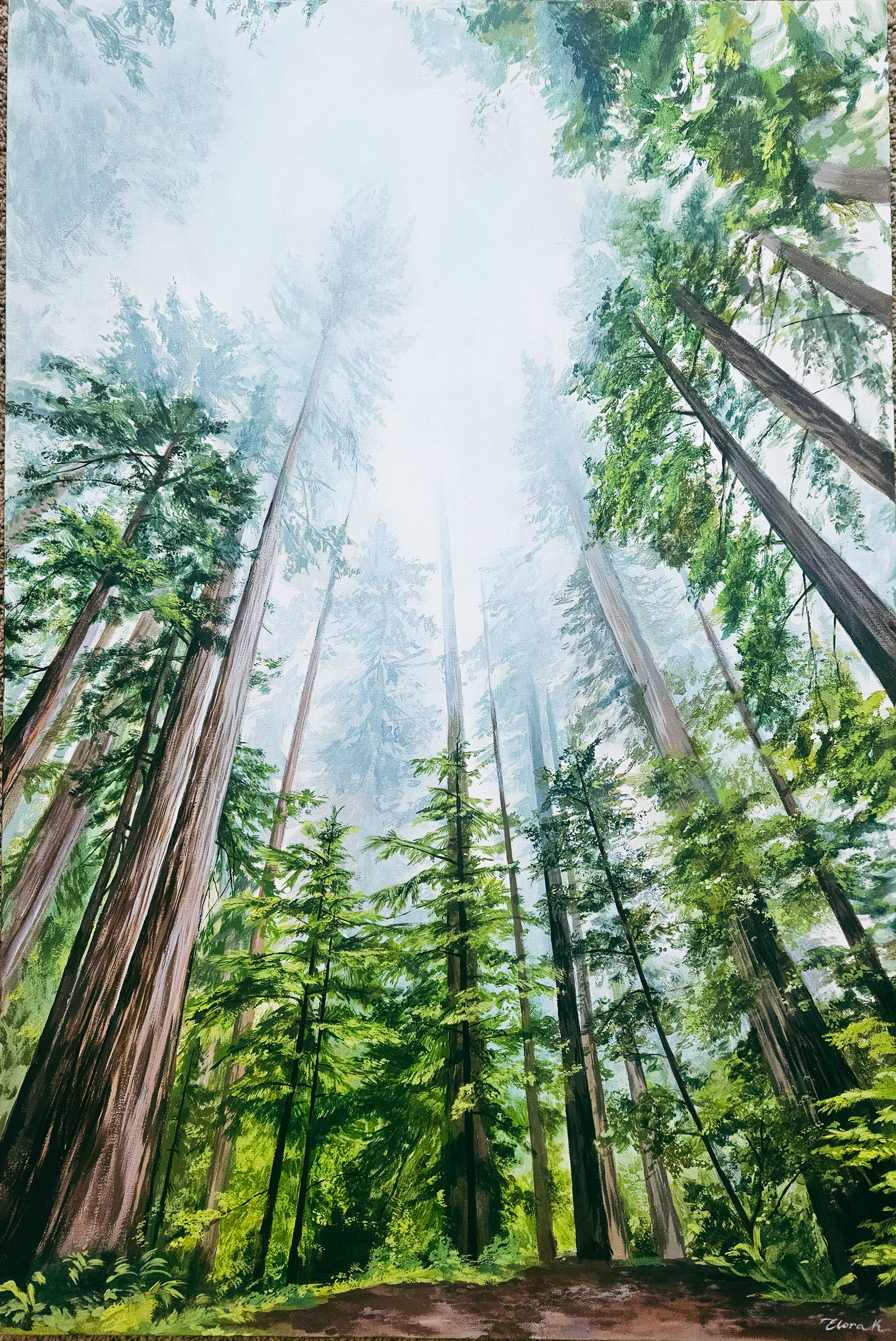 Forest Guardians
