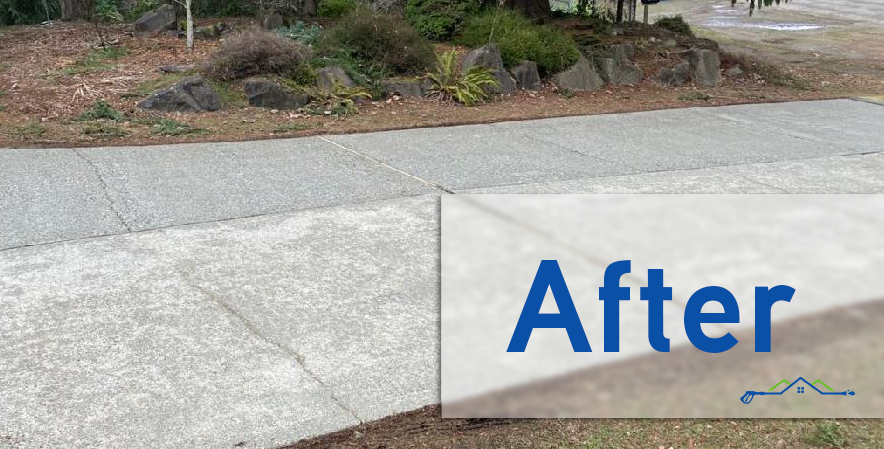 After Kyle's ECS, this driveway is freshly washed, now glistening soft gray cement.