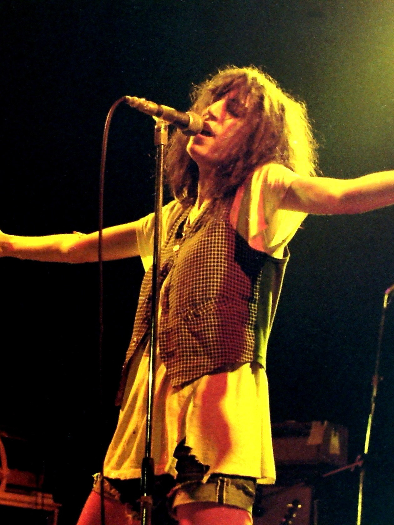 Patti Smith is a punk rock artist, combining poetry with her lyrics and music. She grew up in Deptford new Jersey and was exposed to music from an early age, being influenced by artists like Harry Belafonte and Bob Dylan. One of her first albums with her musical group, Patti Smith Group, was titled Horses, and fused punk rock with spoken poetry.