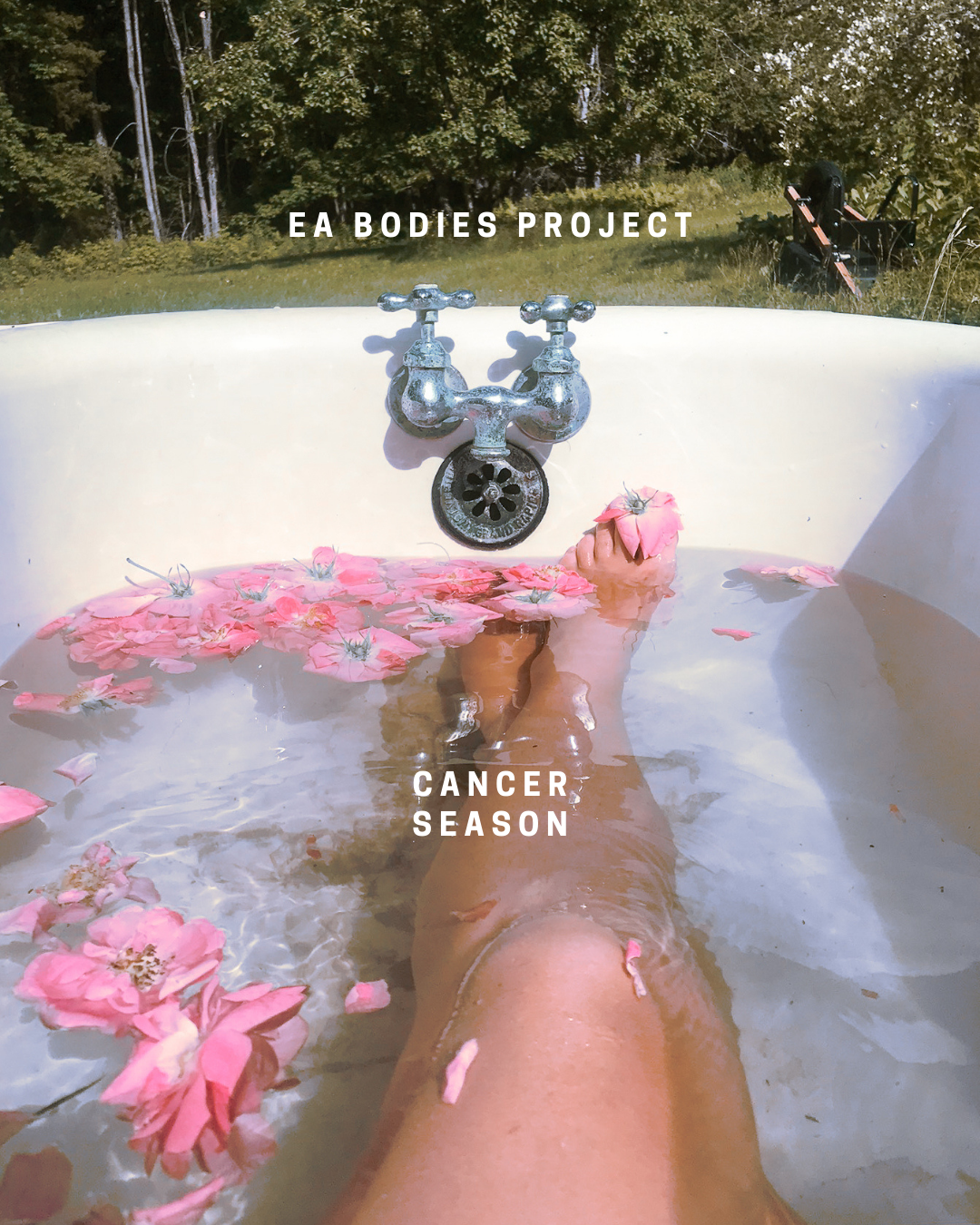 photo by @wolfbellyy