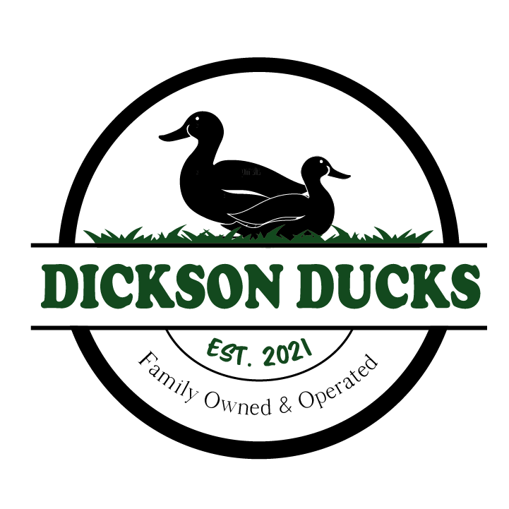 Logo Concept 1