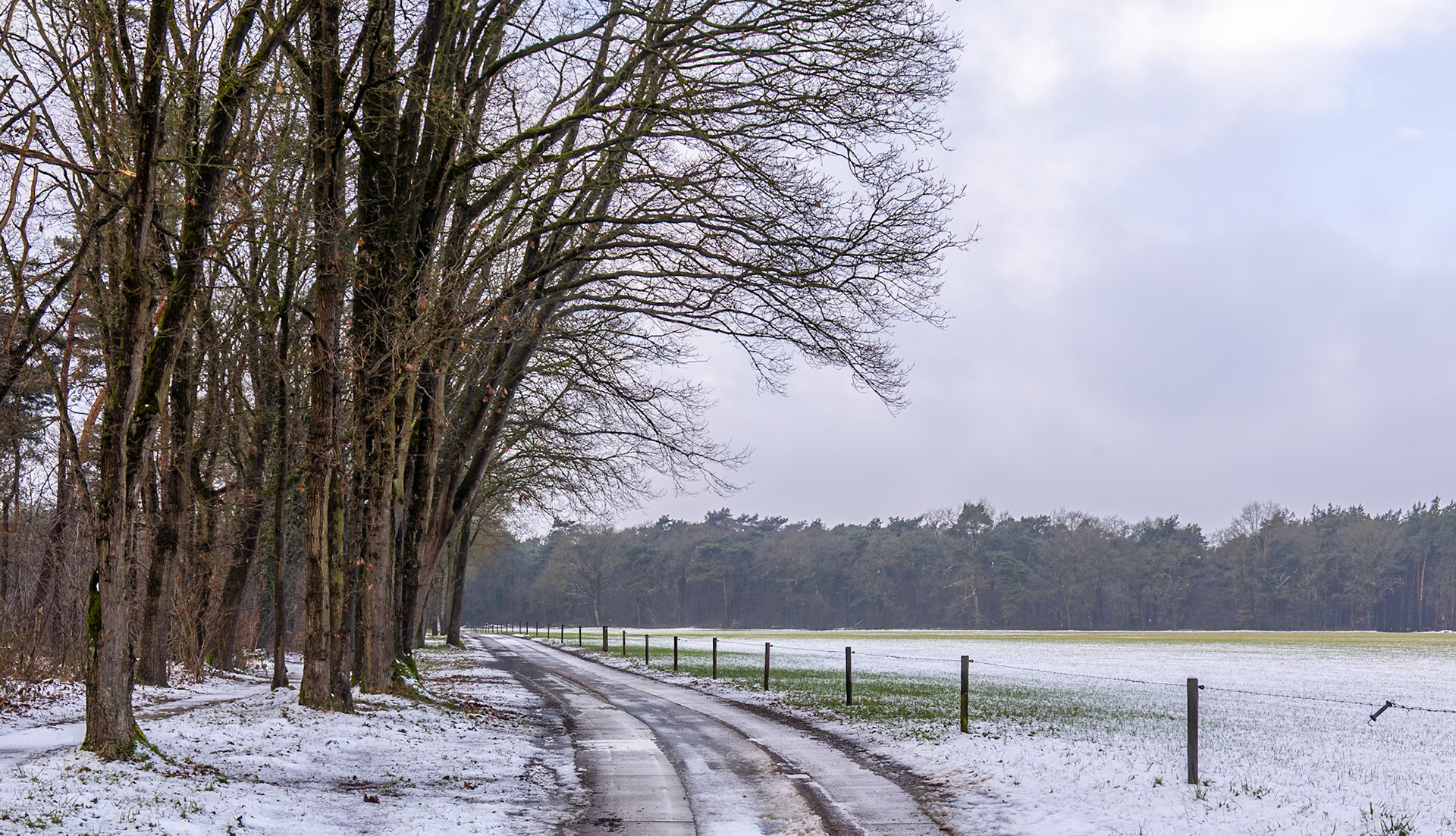 De Achterhoek (16 februari 2026)